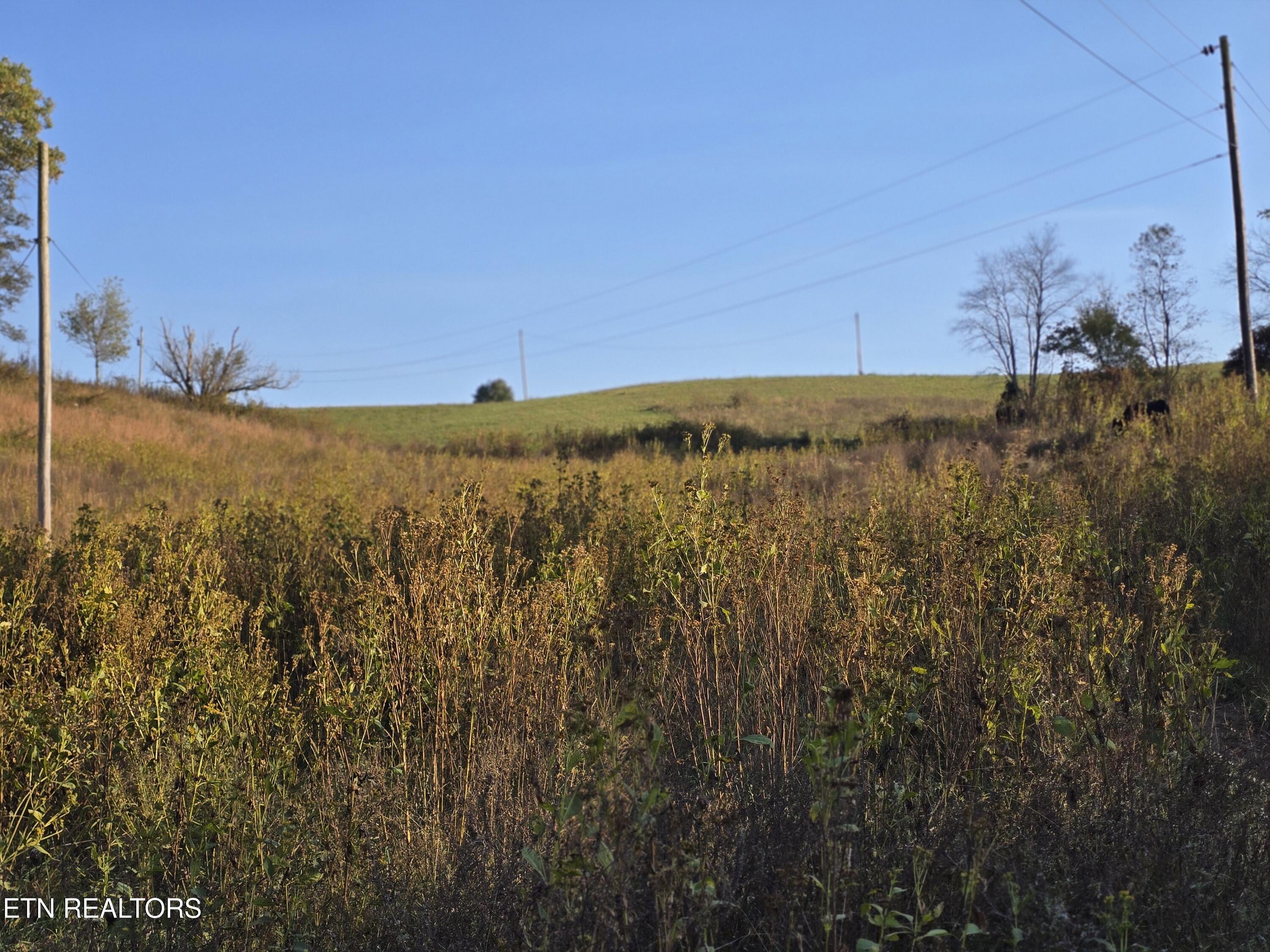 Tbd Copper Ridge Road Eidson TN 37731