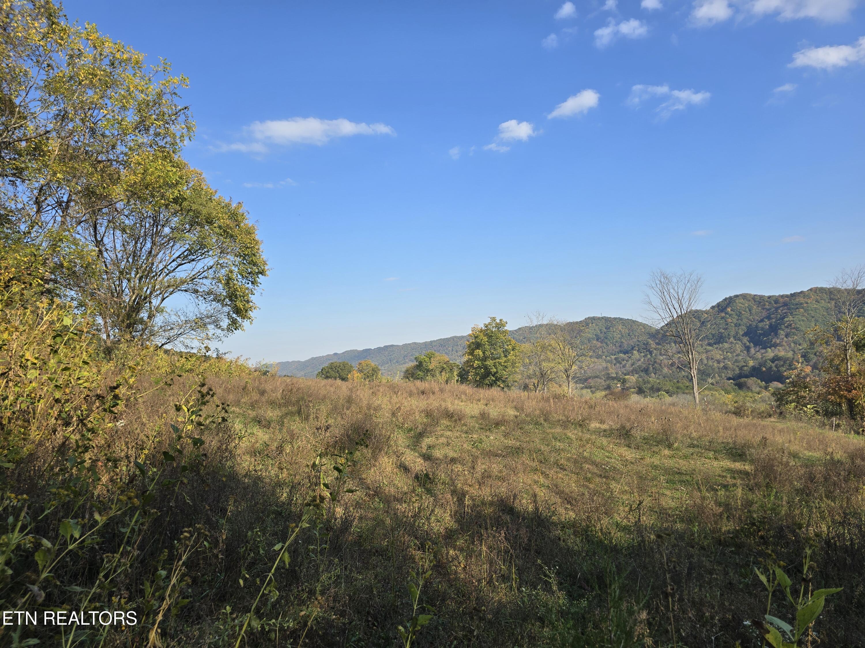 Tbd Copper Ridge Road Eidson TN 37731