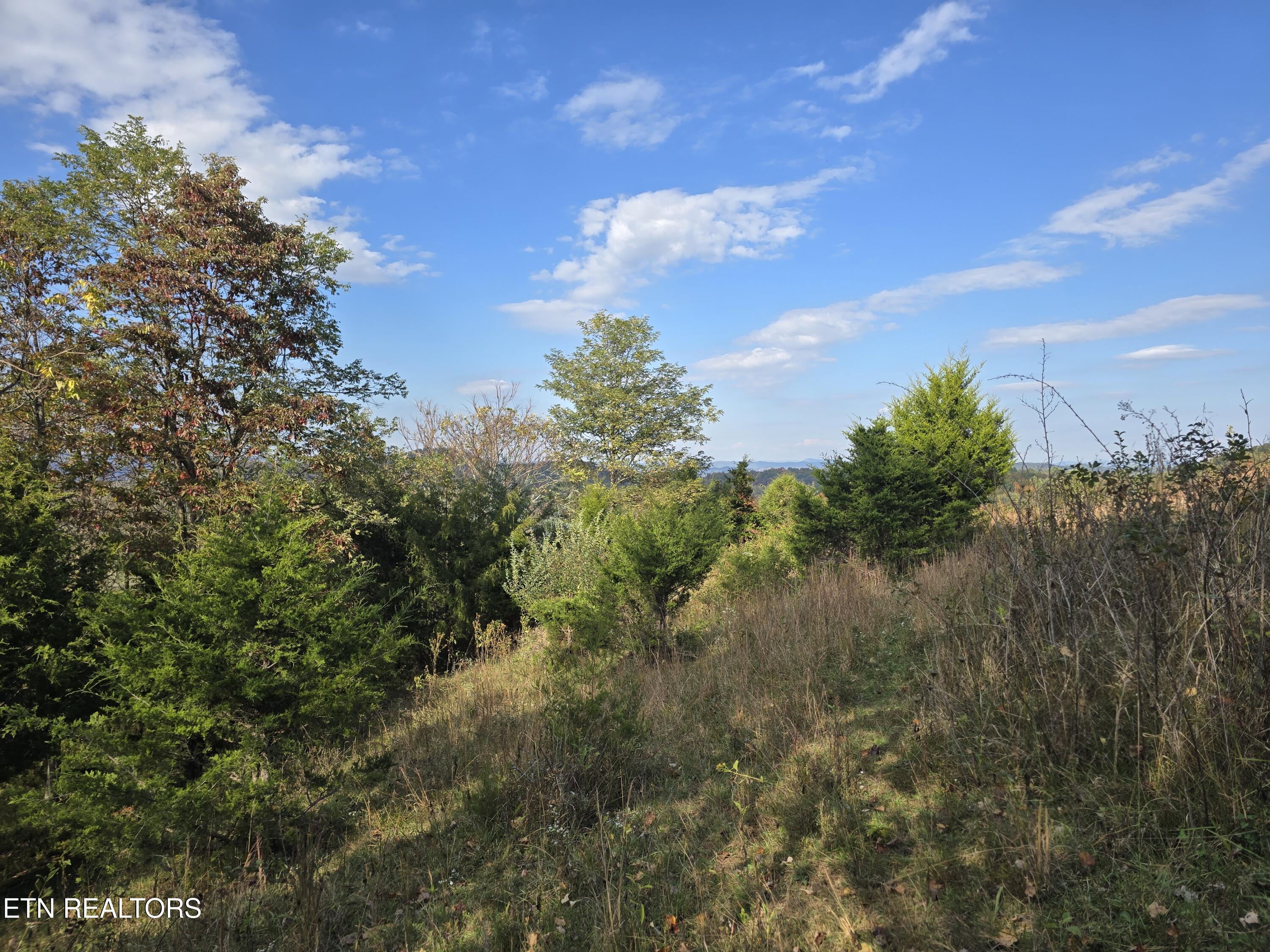Tbd Copper Ridge Road Eidson TN 37731