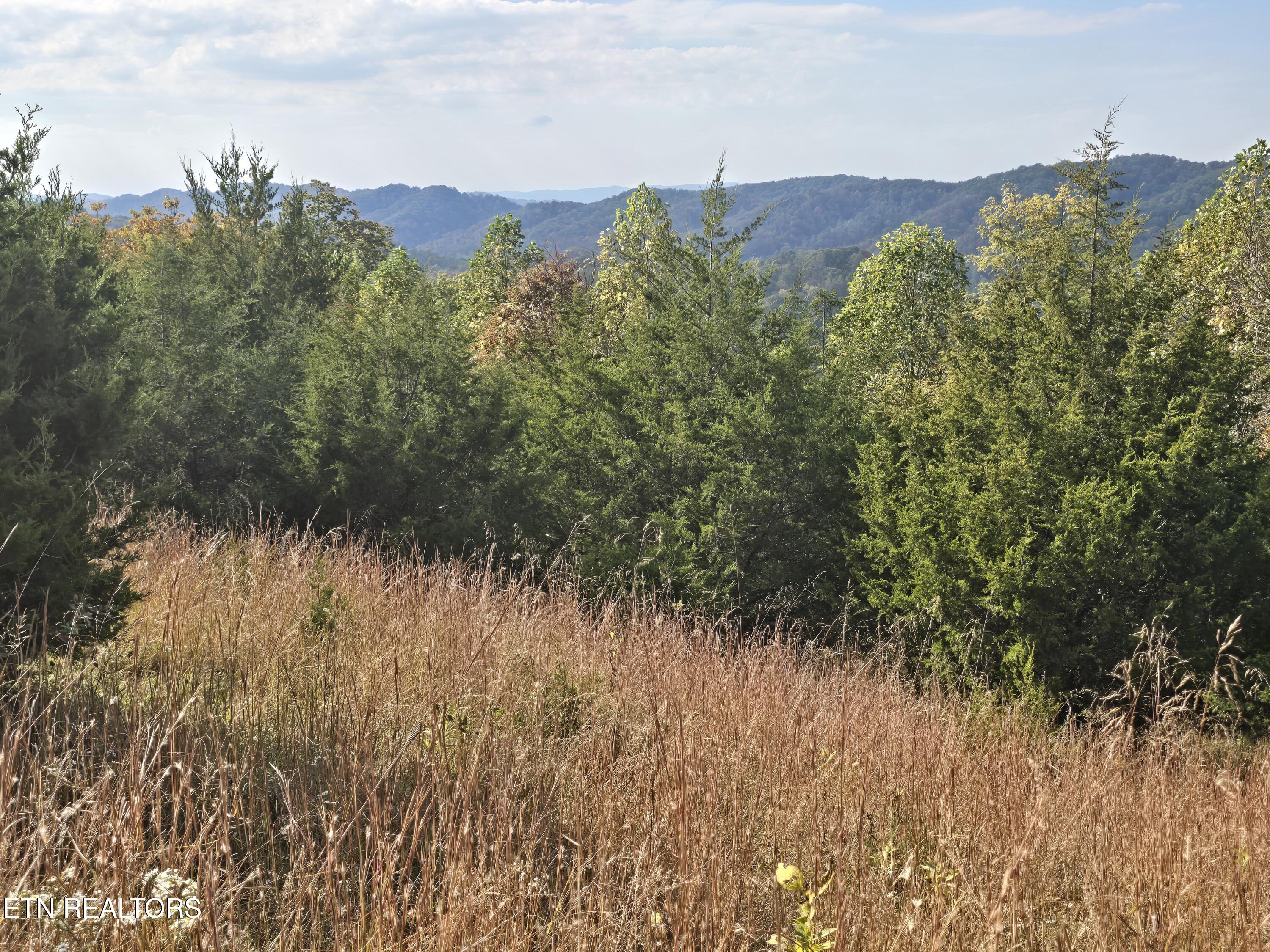 Tbd Copper Ridge Road Eidson TN 37731