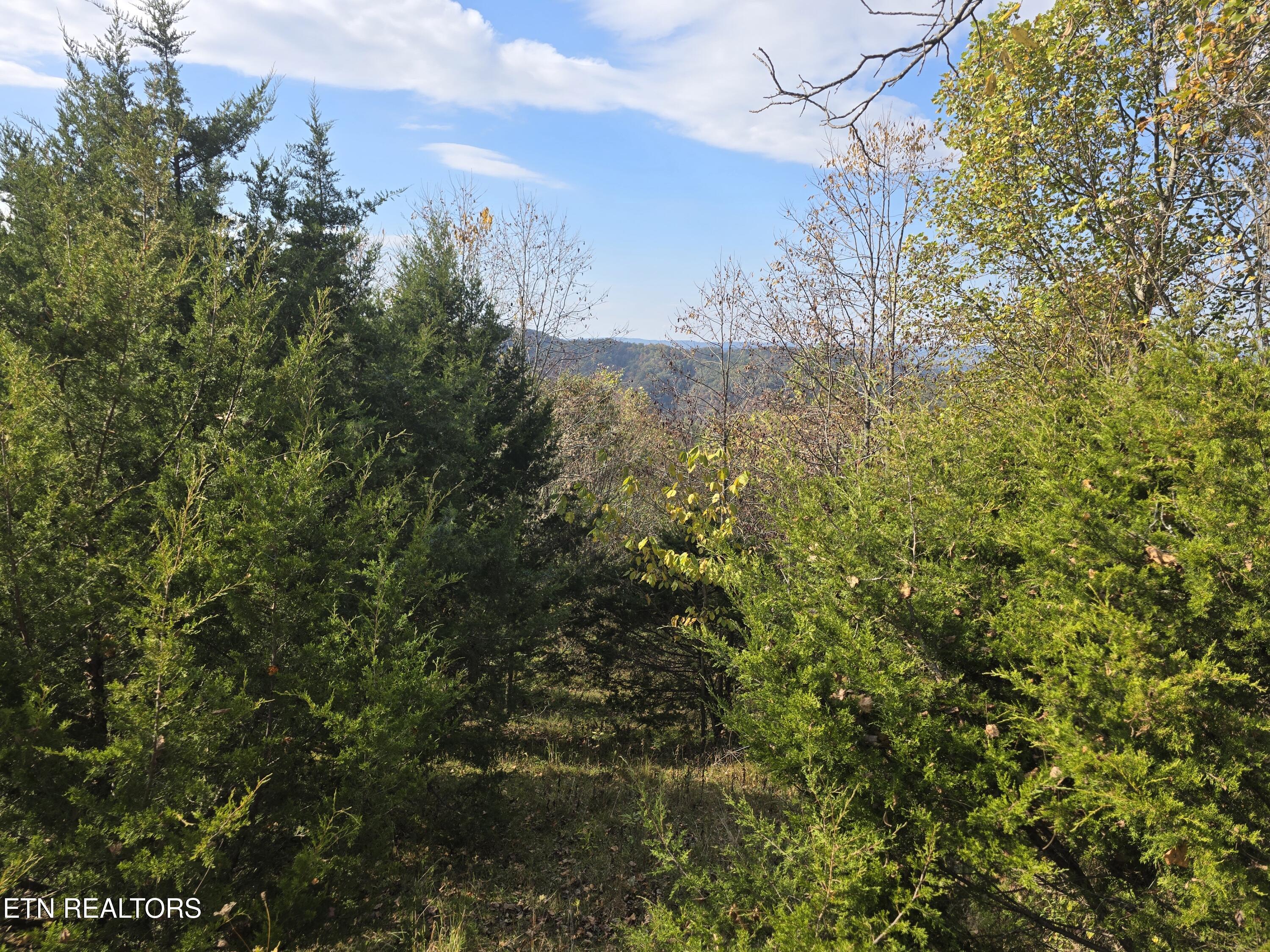 Tbd Copper Ridge Road Eidson TN 37731