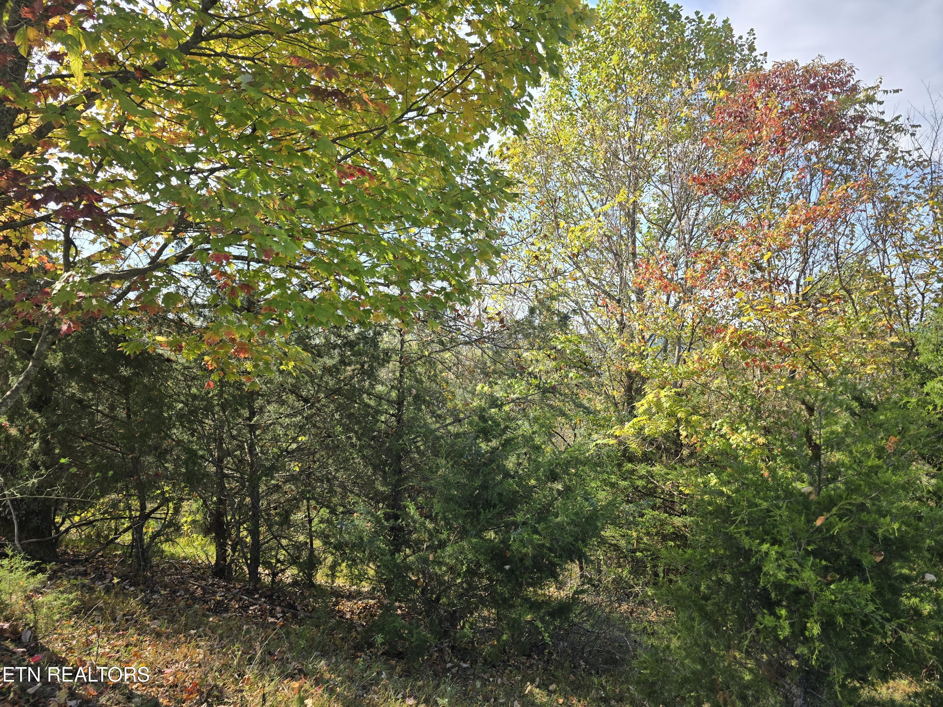 Tbd Copper Ridge Road Eidson TN 37731