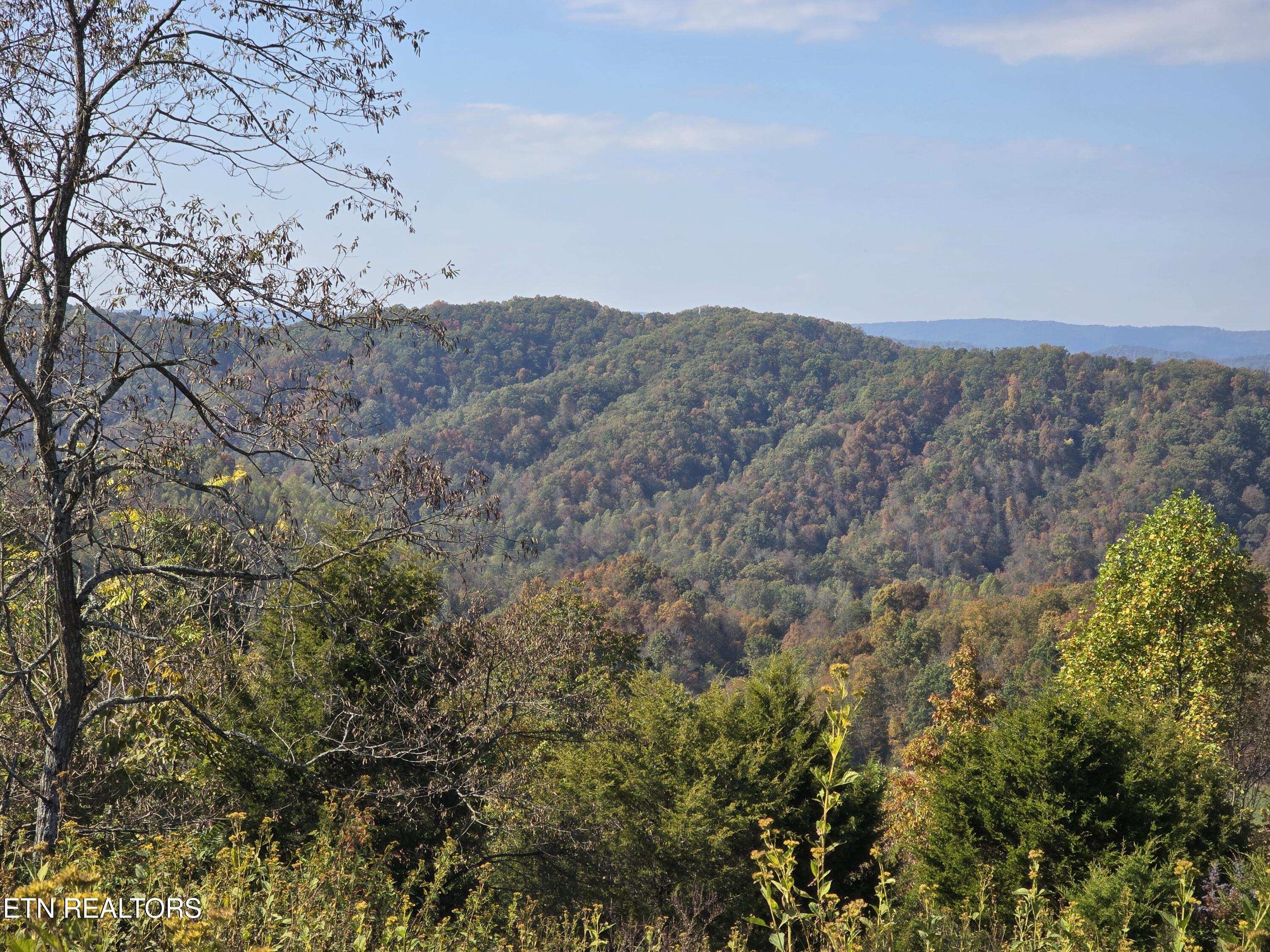 Tbd Copper Ridge Road Eidson TN 37731