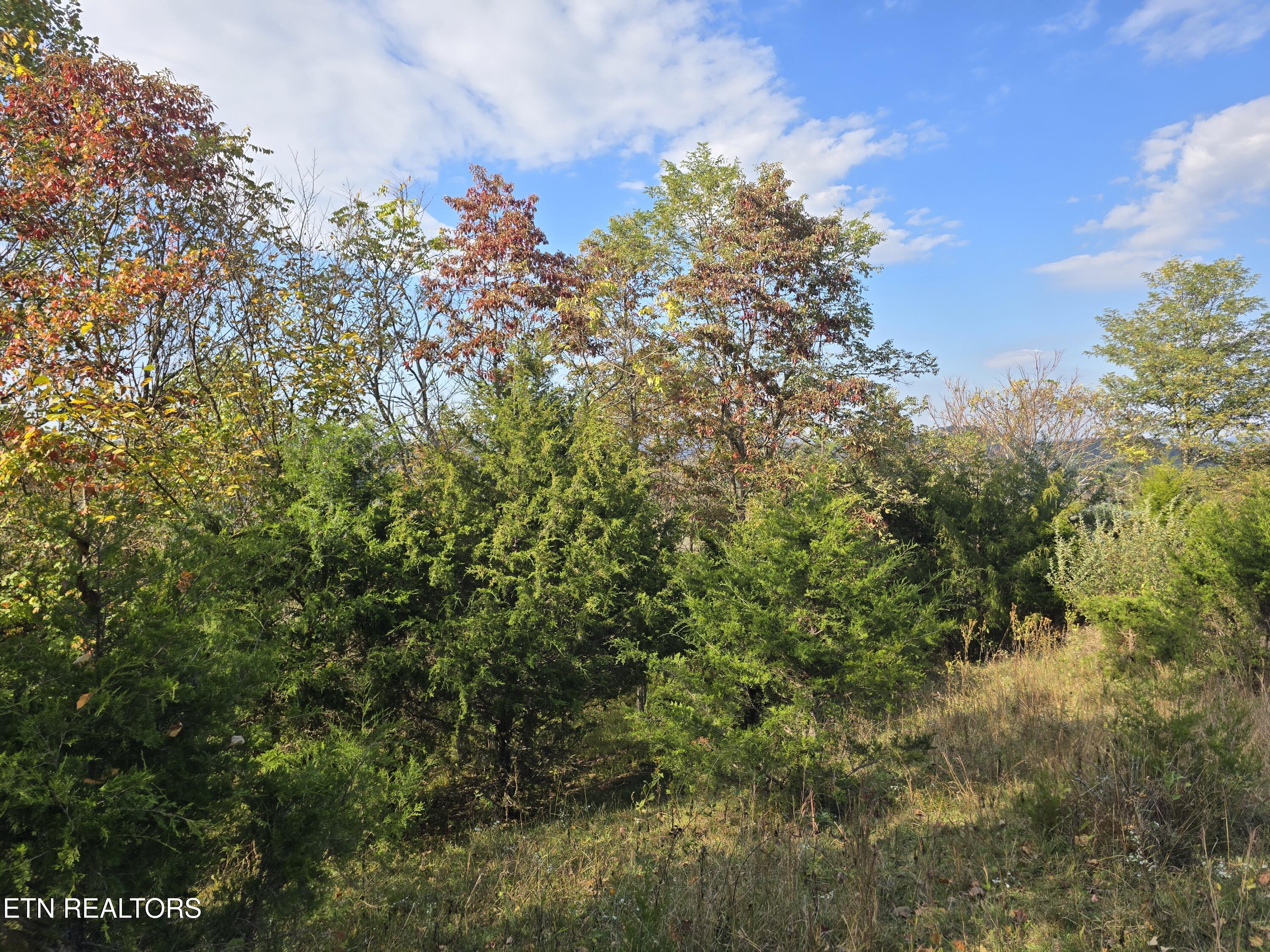 Tbd Copper Ridge Road Eidson TN 37731