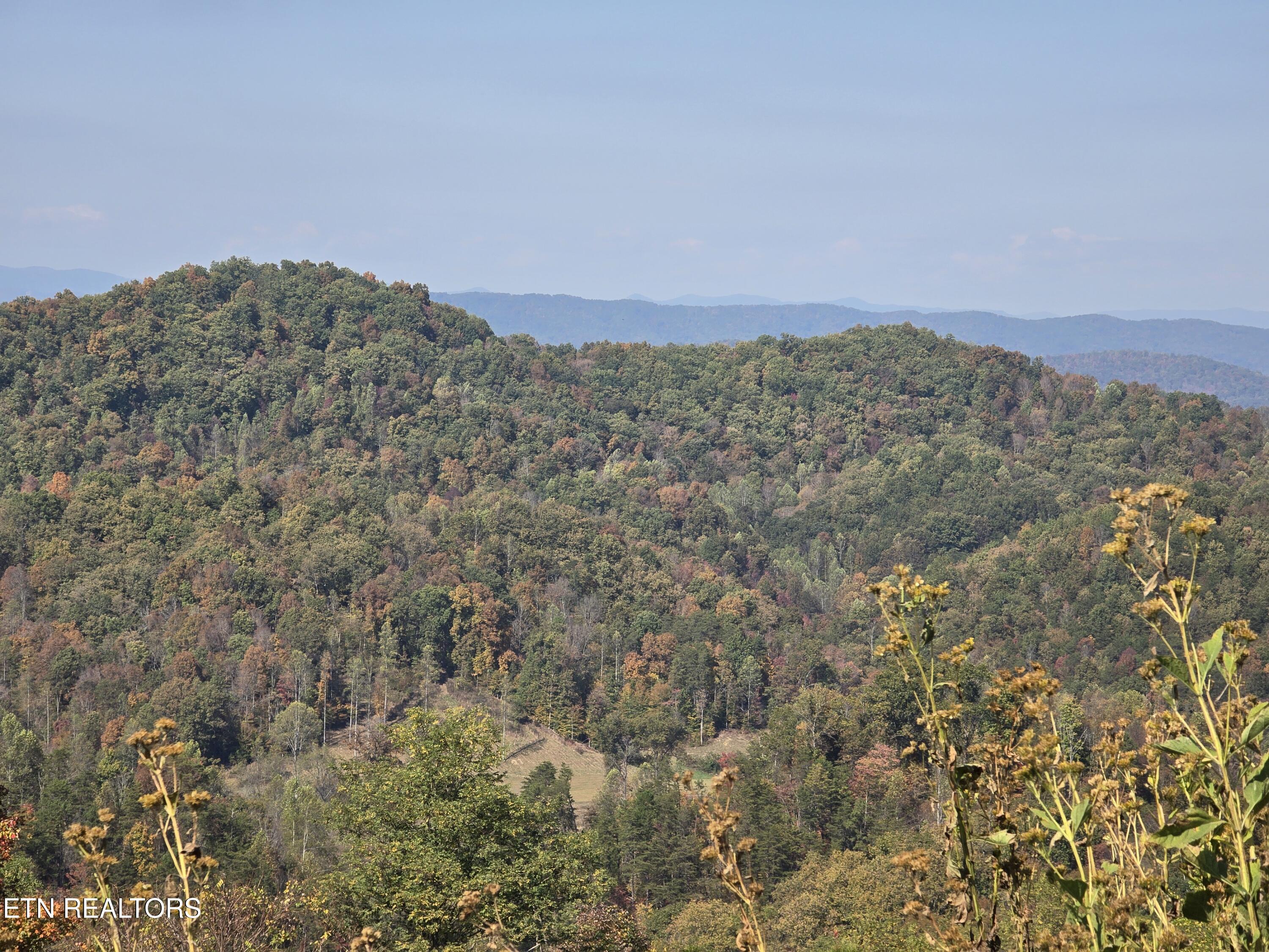 Tbd Copper Ridge Road Eidson TN 37731