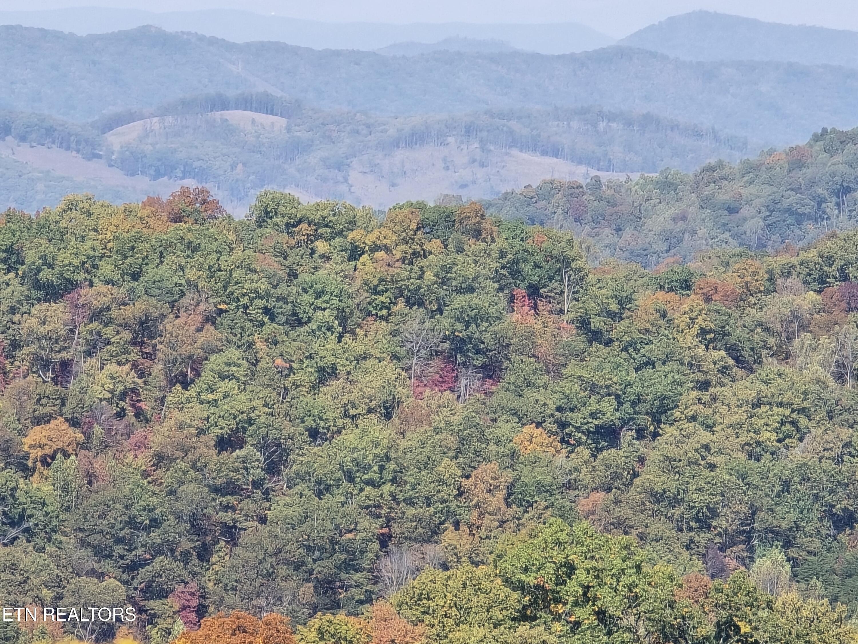Tbd Copper Ridge Road Eidson TN 37731