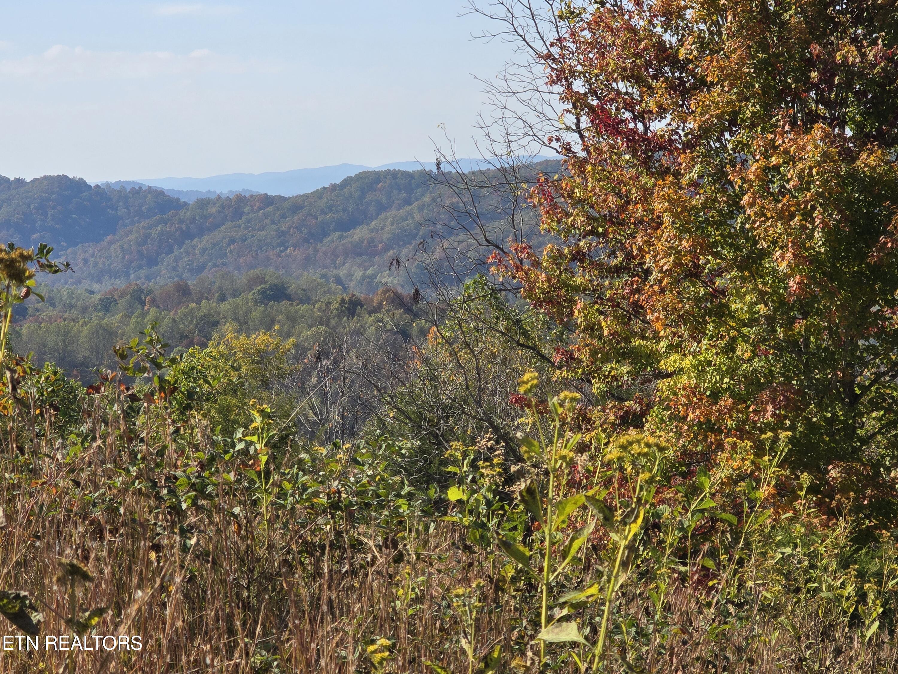 Tbd Copper Ridge Road Eidson TN 37731