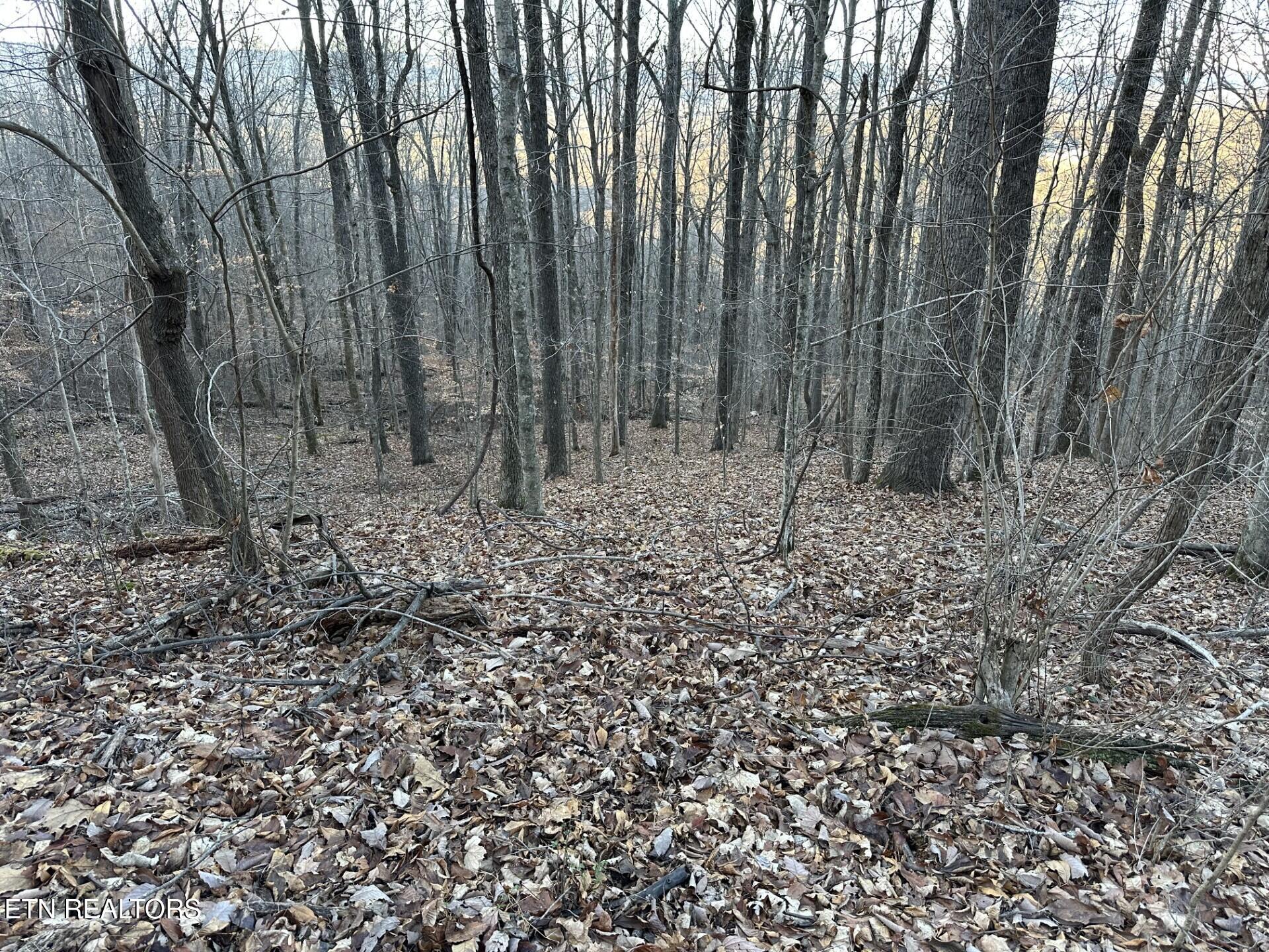 00 Fox Ridge Road Pikeville TN 37367