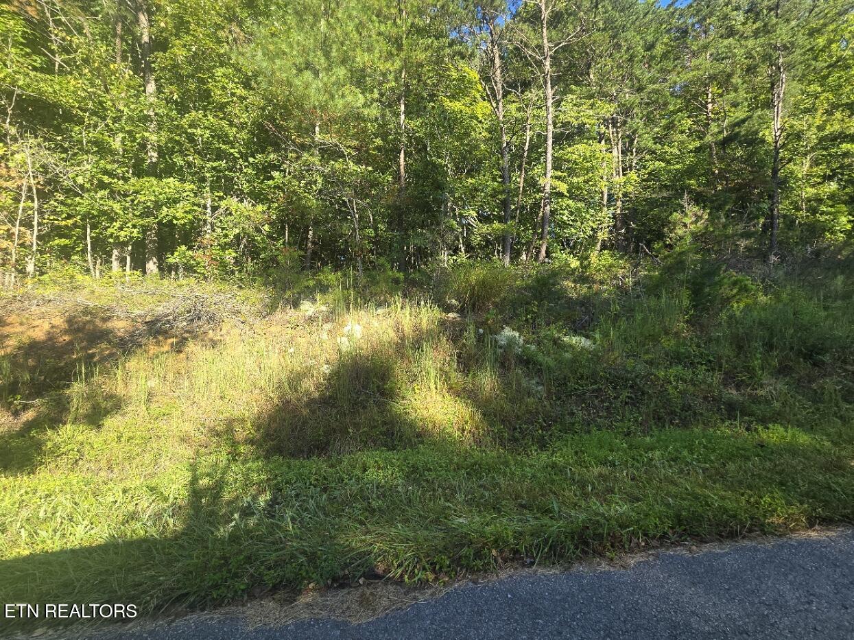 Lot 25-26 Summit Drive Oneida TN 37841