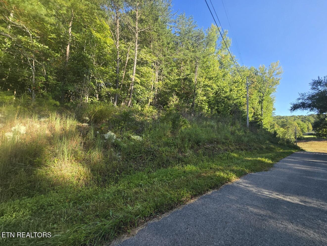 Lot 25-26 Summit Drive Oneida TN 37841