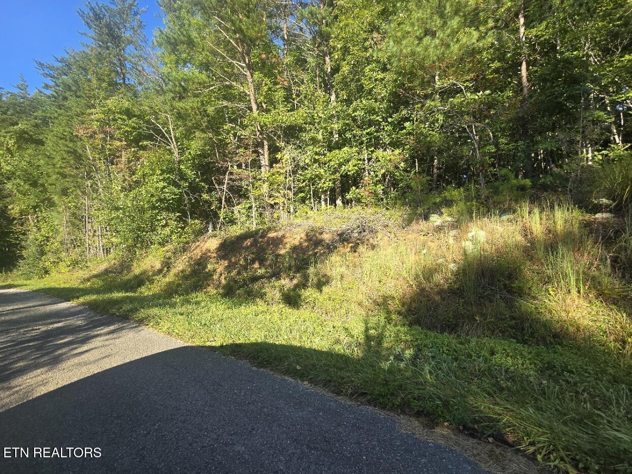 Lot 25-26 Summit Drive Oneida TN 37841