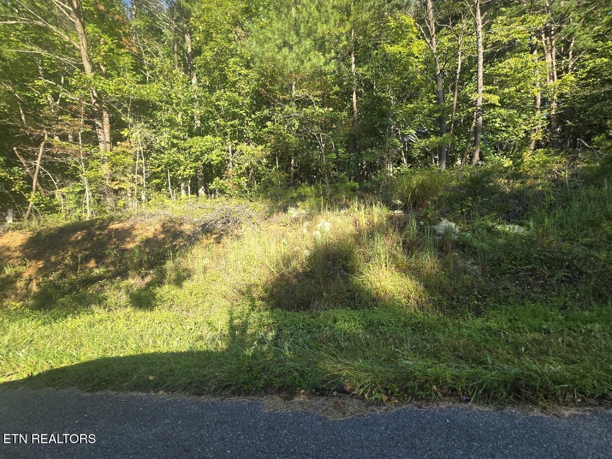 Lot 25-26 Summit Drive Oneida TN 37841
