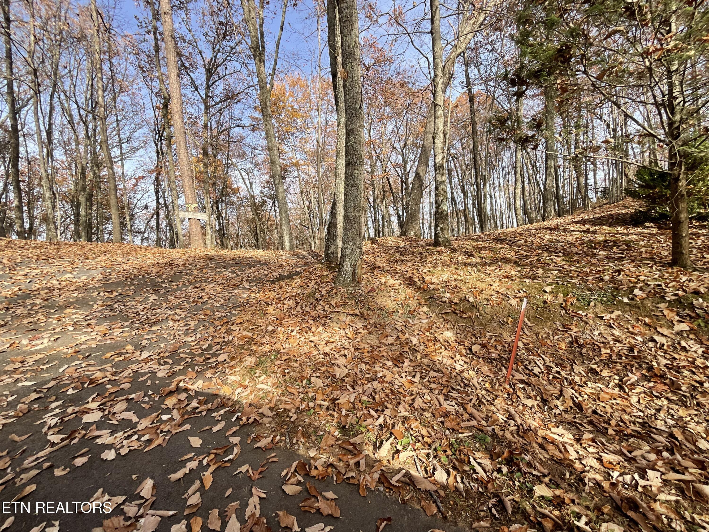 Boogertown Road Sevierville TN 37876