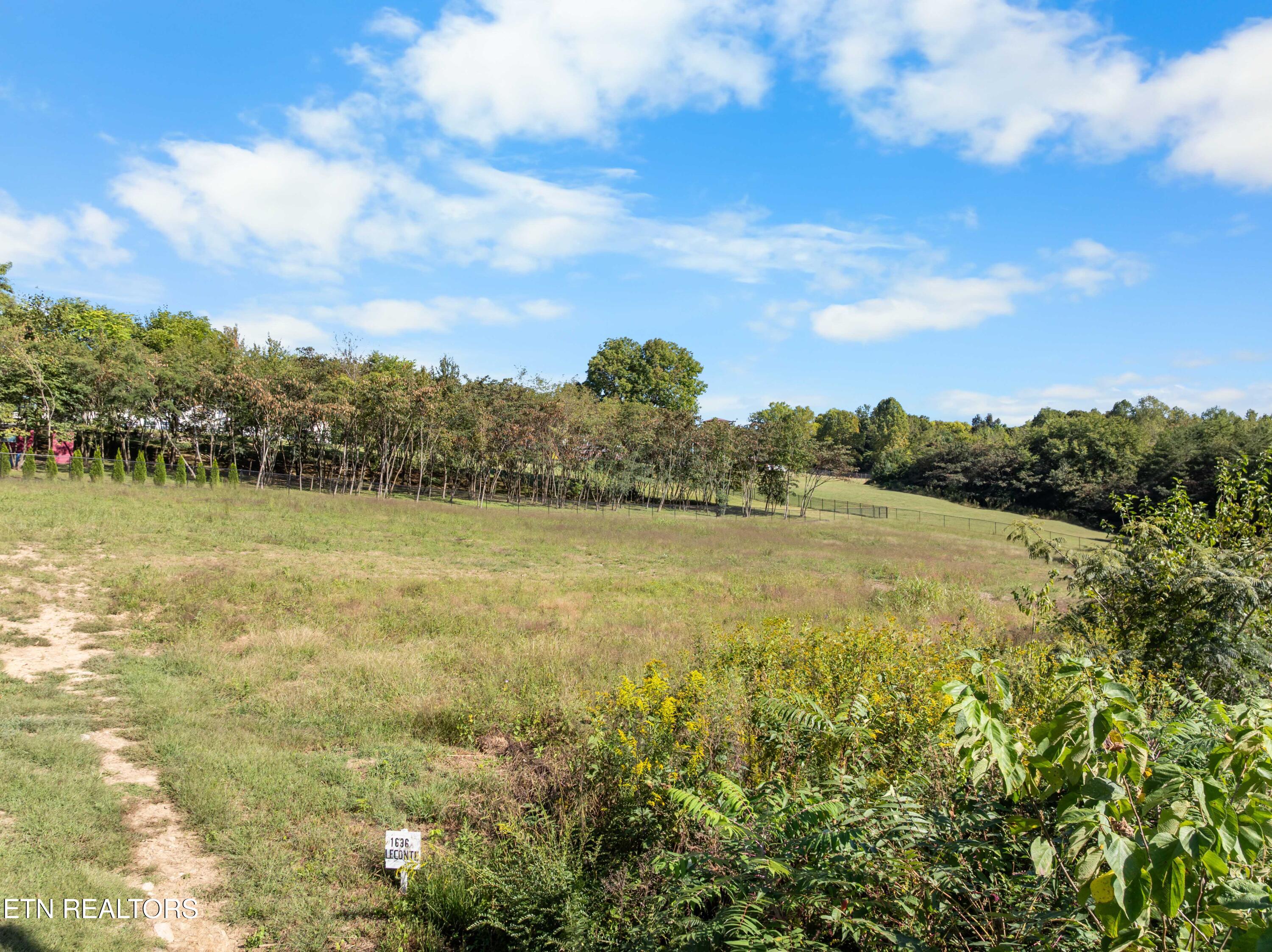 1636 Leconte Road Knoxville TN 37914