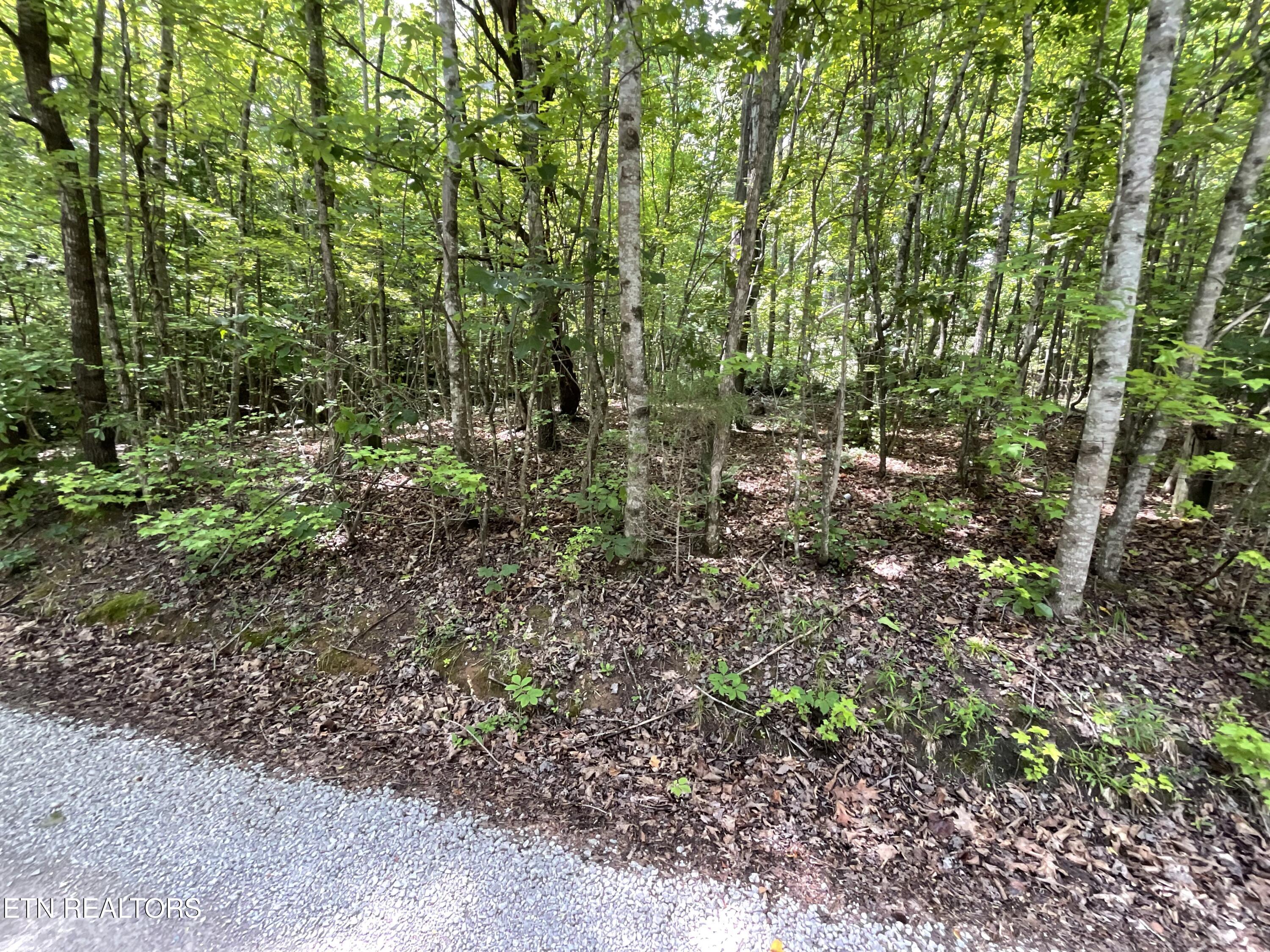 Anna Laura Lane Rockwood TN 37854