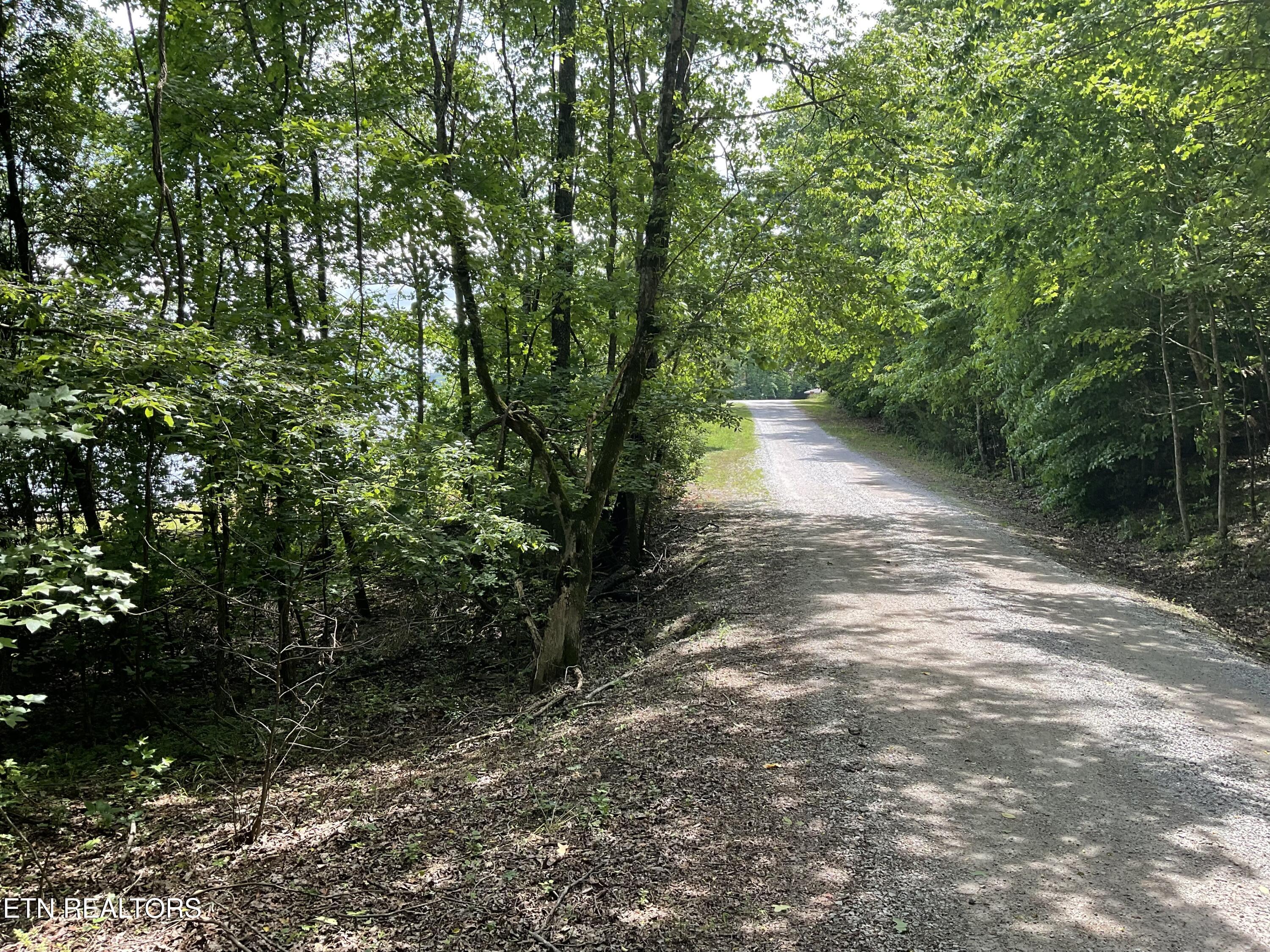 Anna Laura Lane Rockwood TN 37854