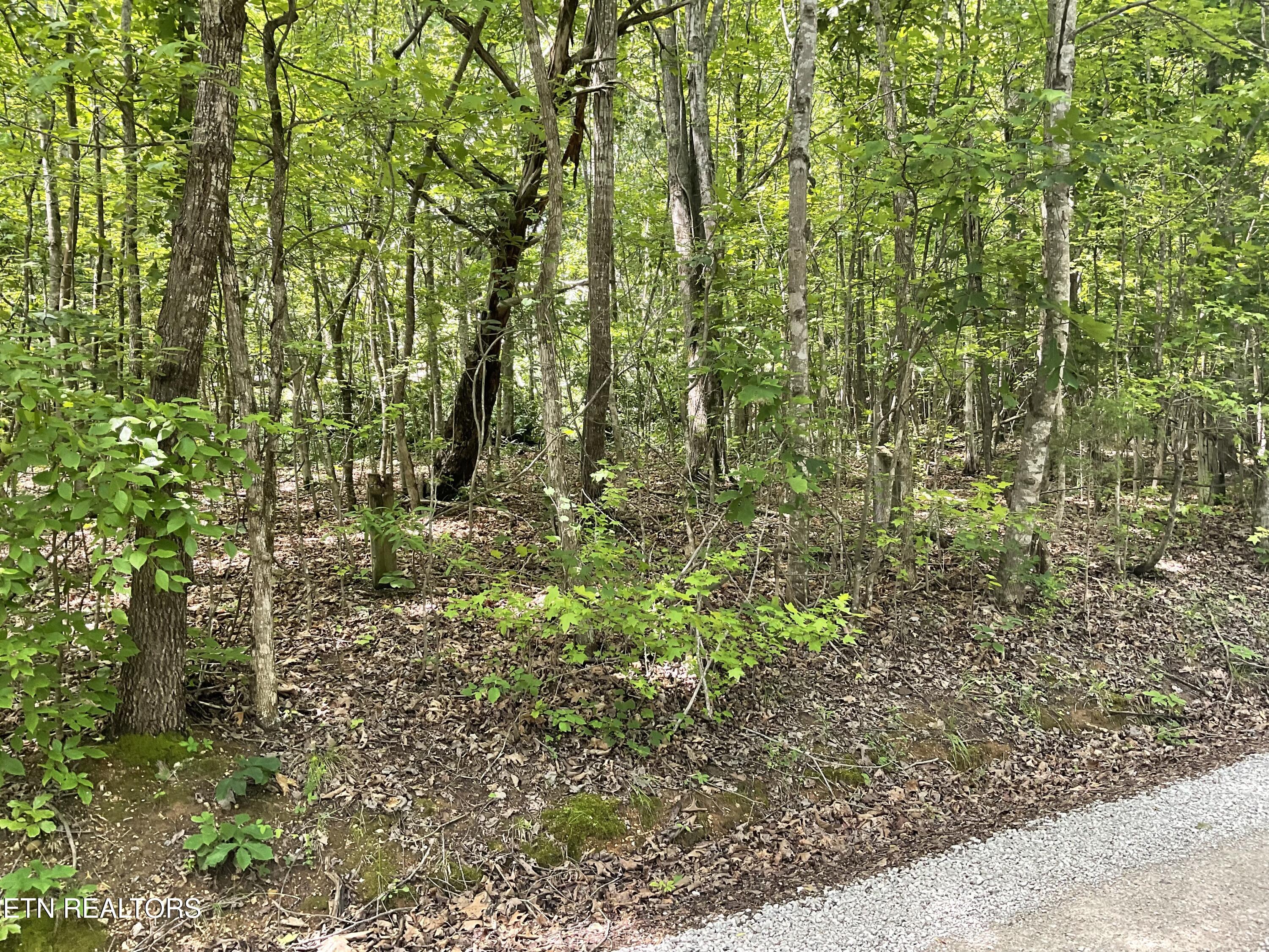 Anna Laura Lane Rockwood TN 37854