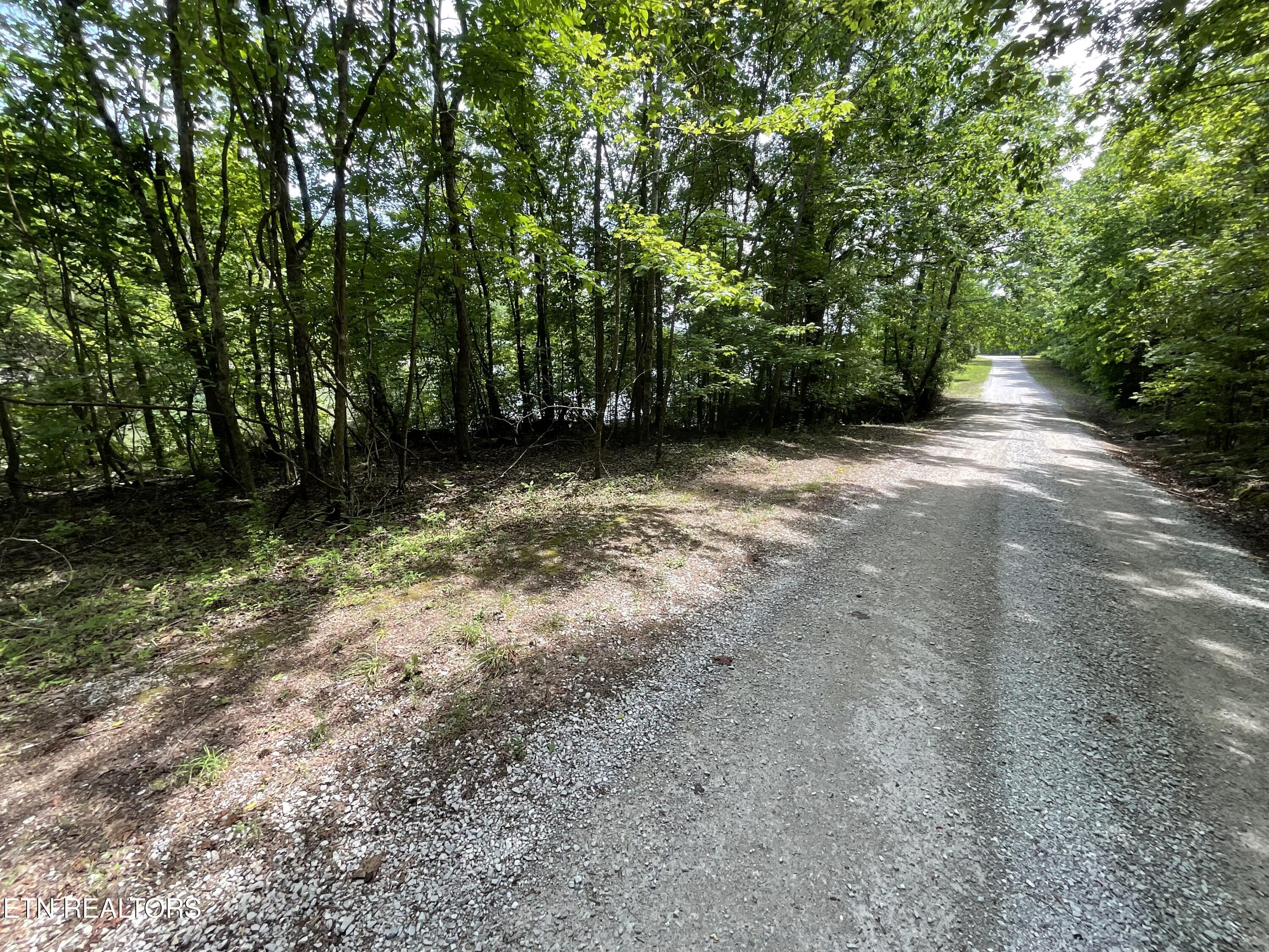 Anna Laura Lane Rockwood TN 37854