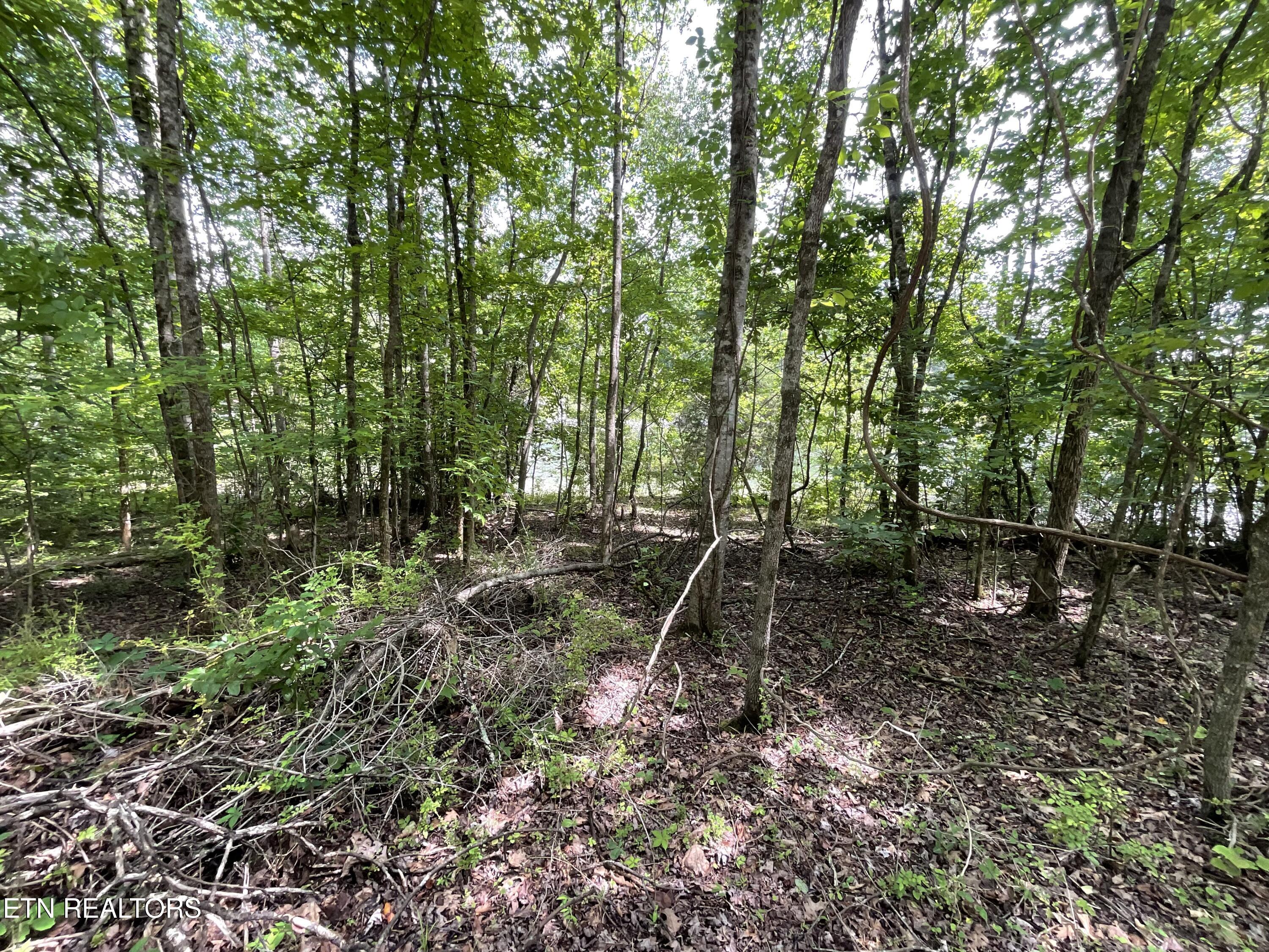 Anna Laura Lane Rockwood TN 37854