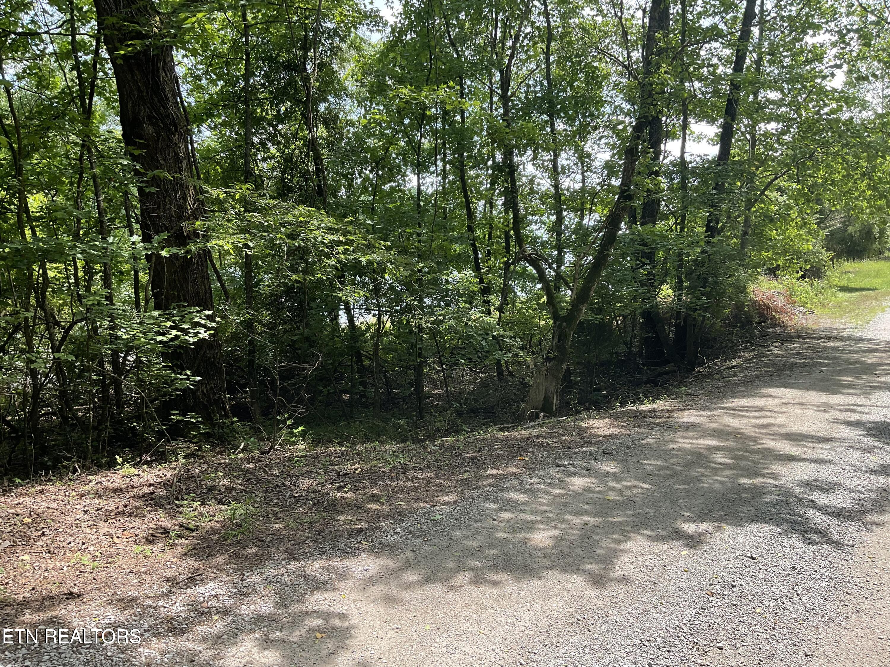 Anna Laura Lane Rockwood TN 37854
