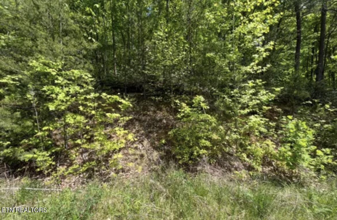 Lot 50 Yellowwood Drive Sevierville TN 37876