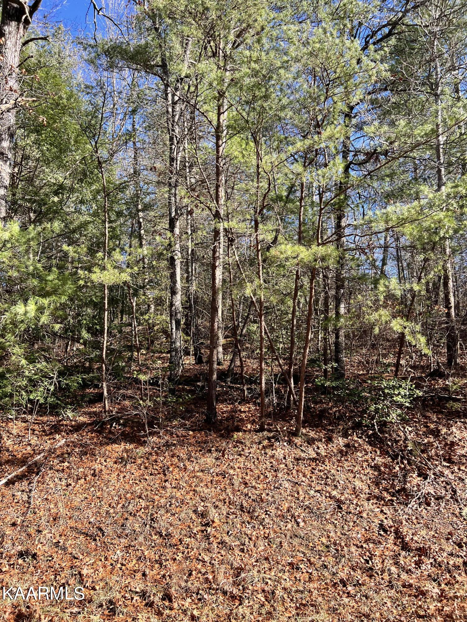 117 Natchez Circle Crossville TN 38558