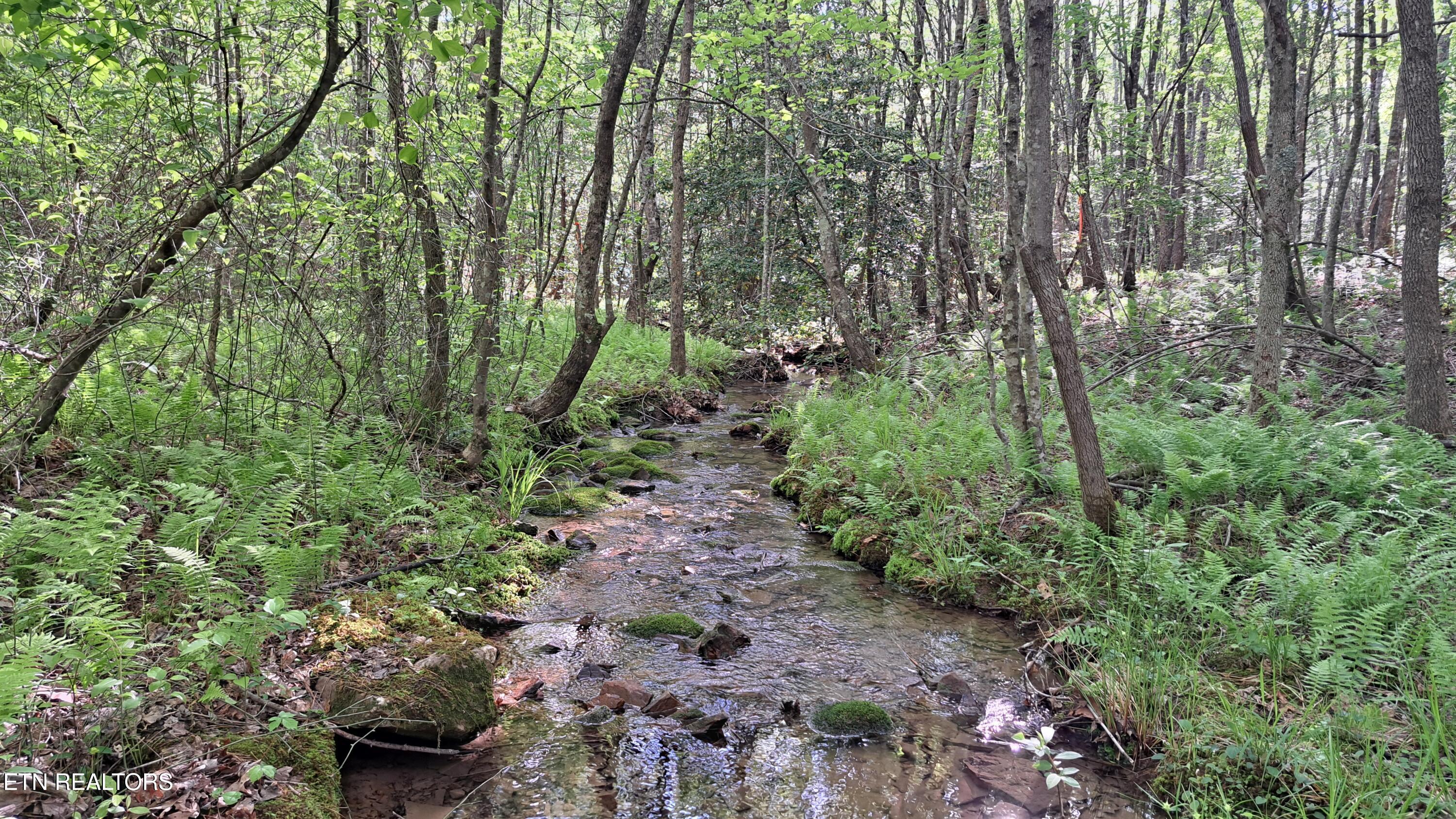 Lot 20 Airport Road (PCA) Rockwood TN 37854