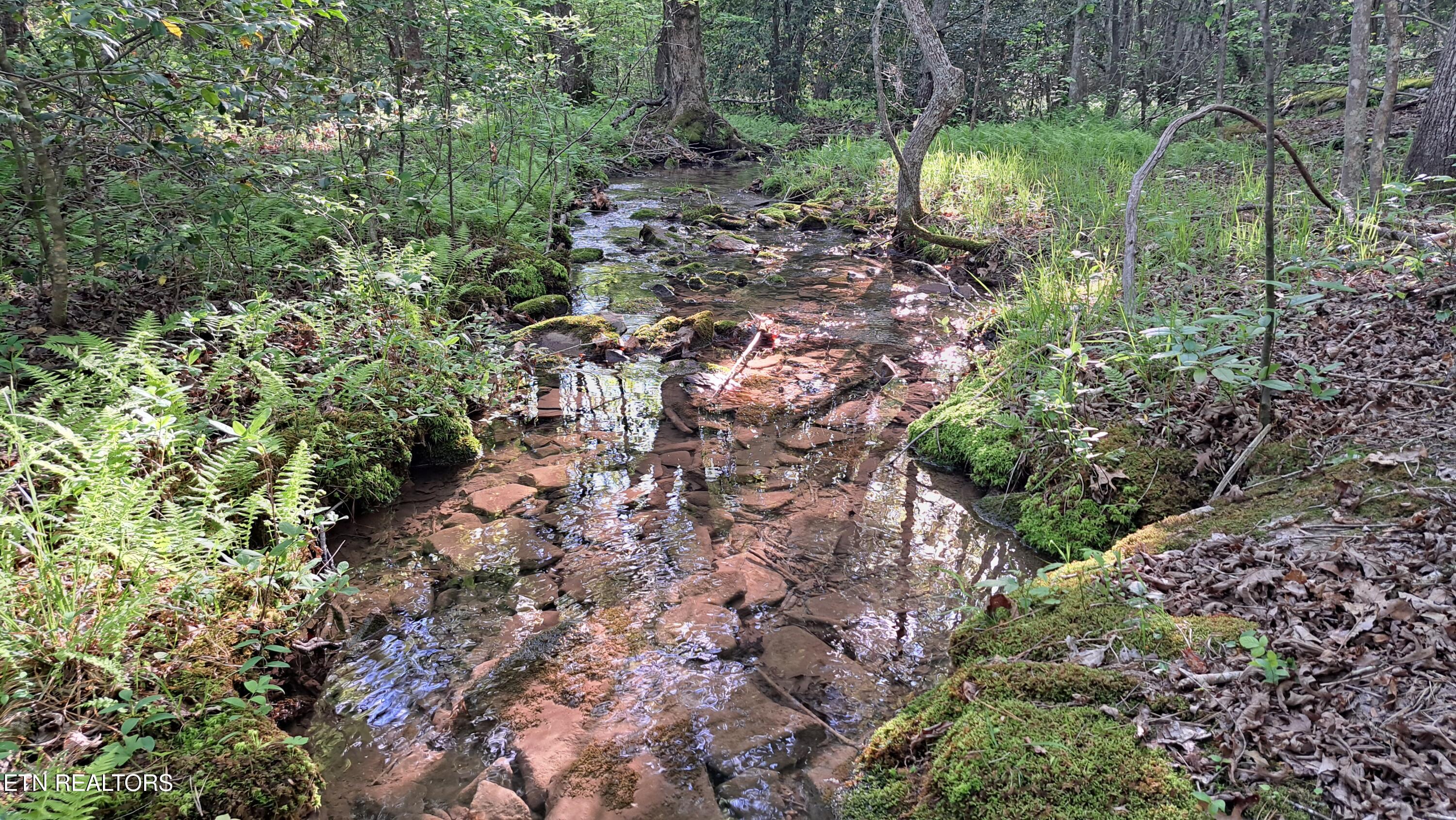 Lot 20 Airport Road (PCA) Rockwood TN 37854
