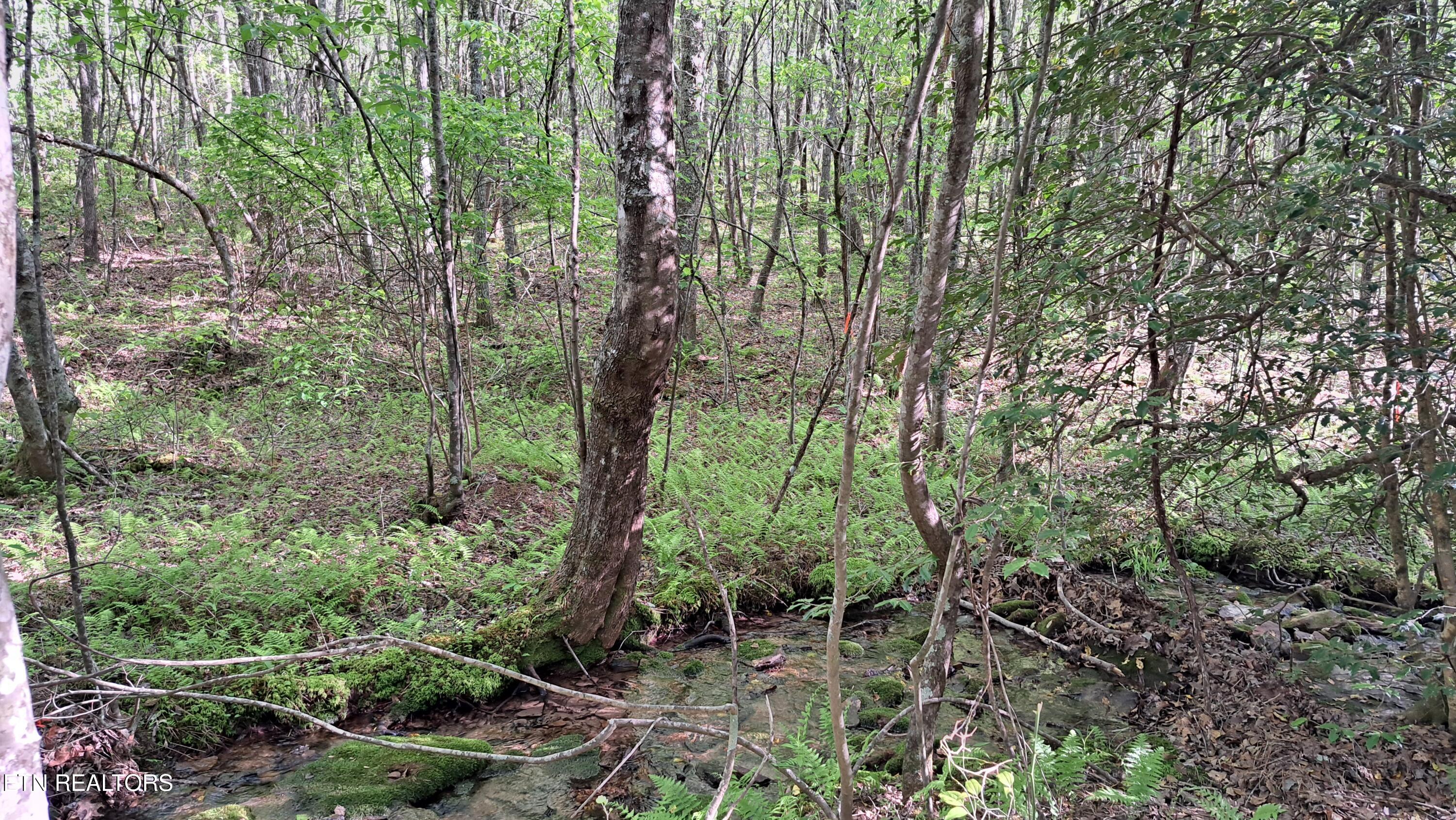Lot 20 Airport Road (PCA) Rockwood TN 37854