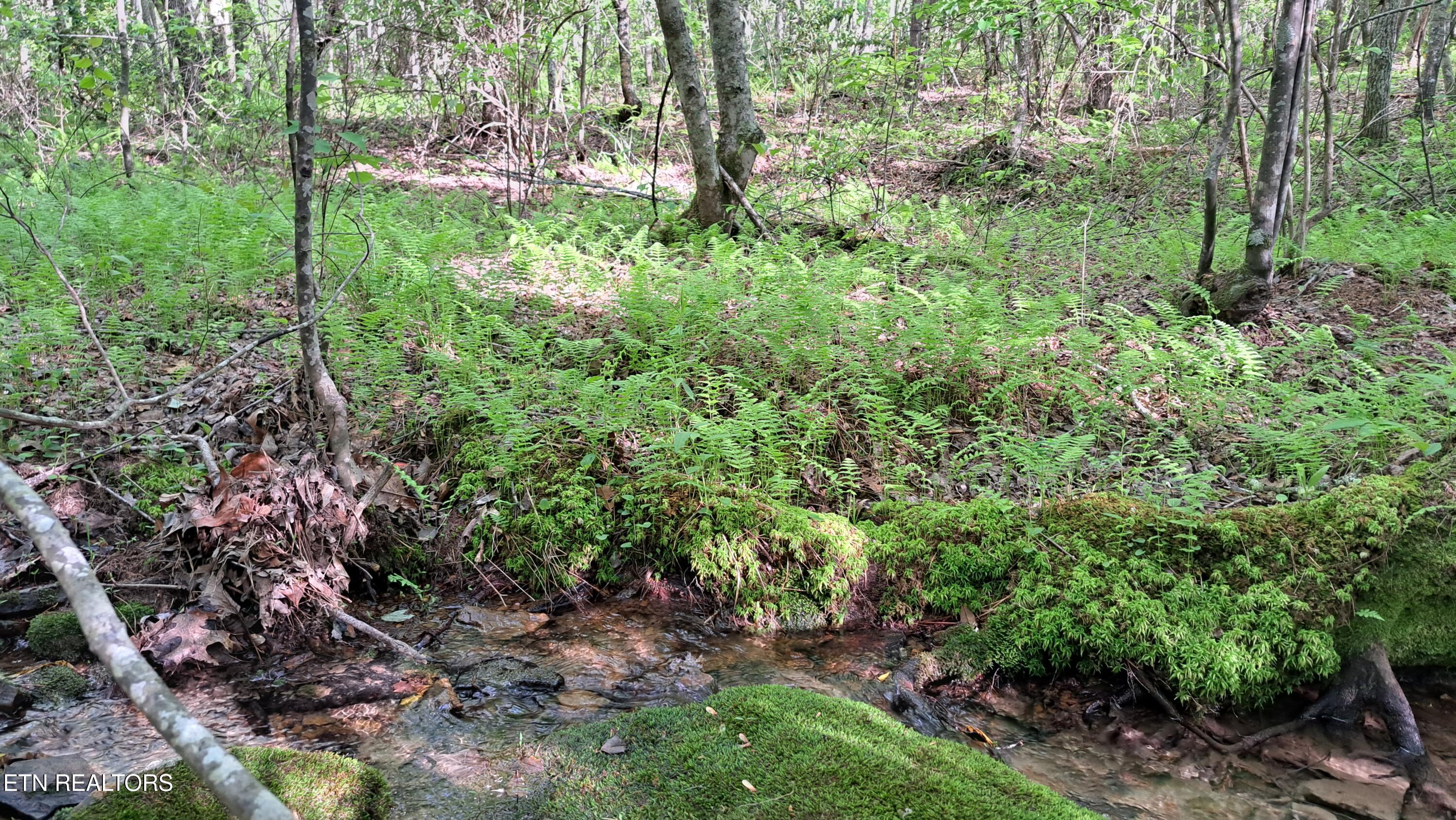 Lot 20 Airport Road (PCA) Rockwood TN 37854