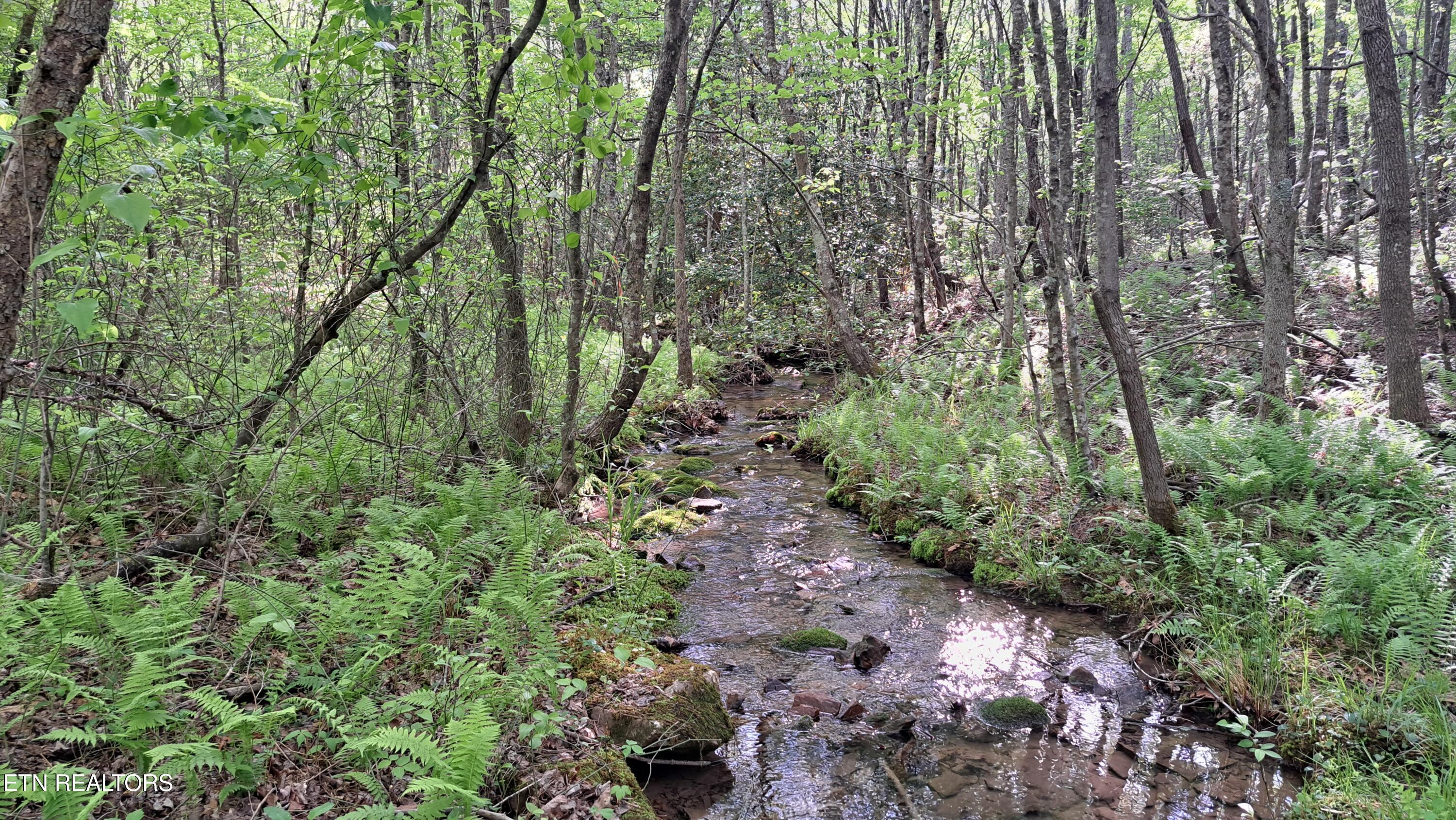 Lot 20 Airport Road (PCA) Rockwood TN 37854