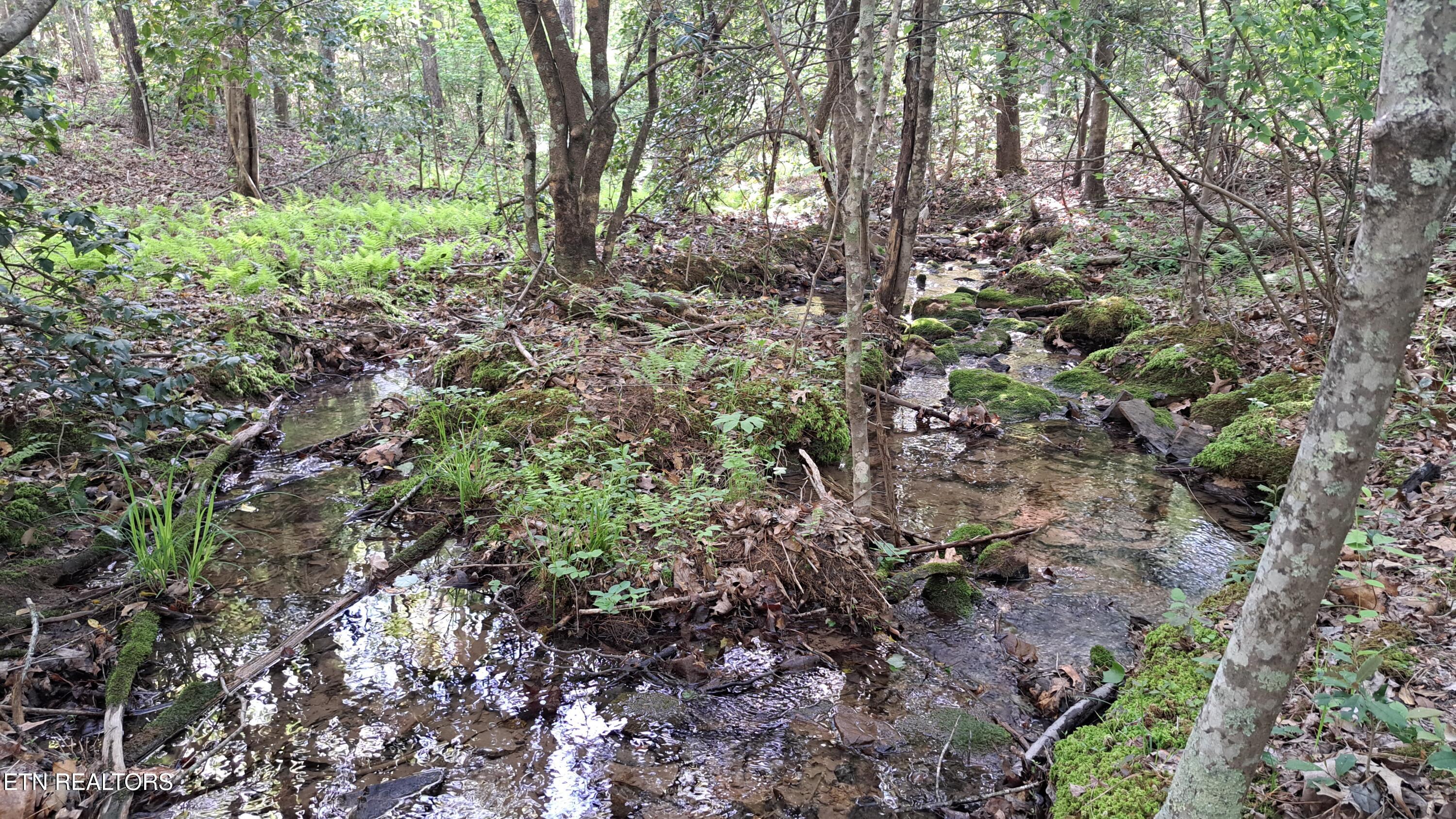Lot 20 Airport Road (PCA) Rockwood TN 37854