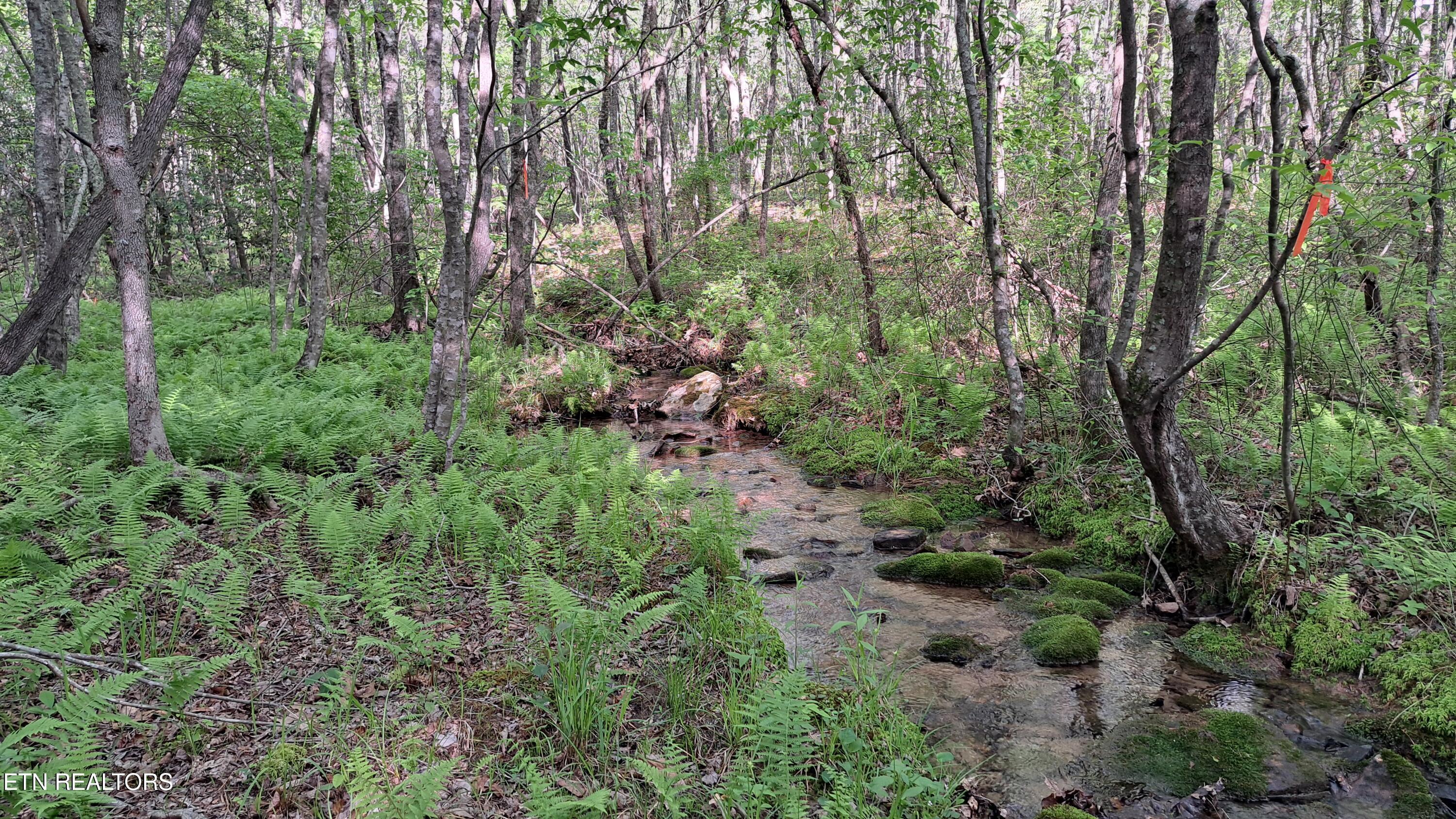 Lot 20 Airport Road (PCA) Rockwood TN 37854
