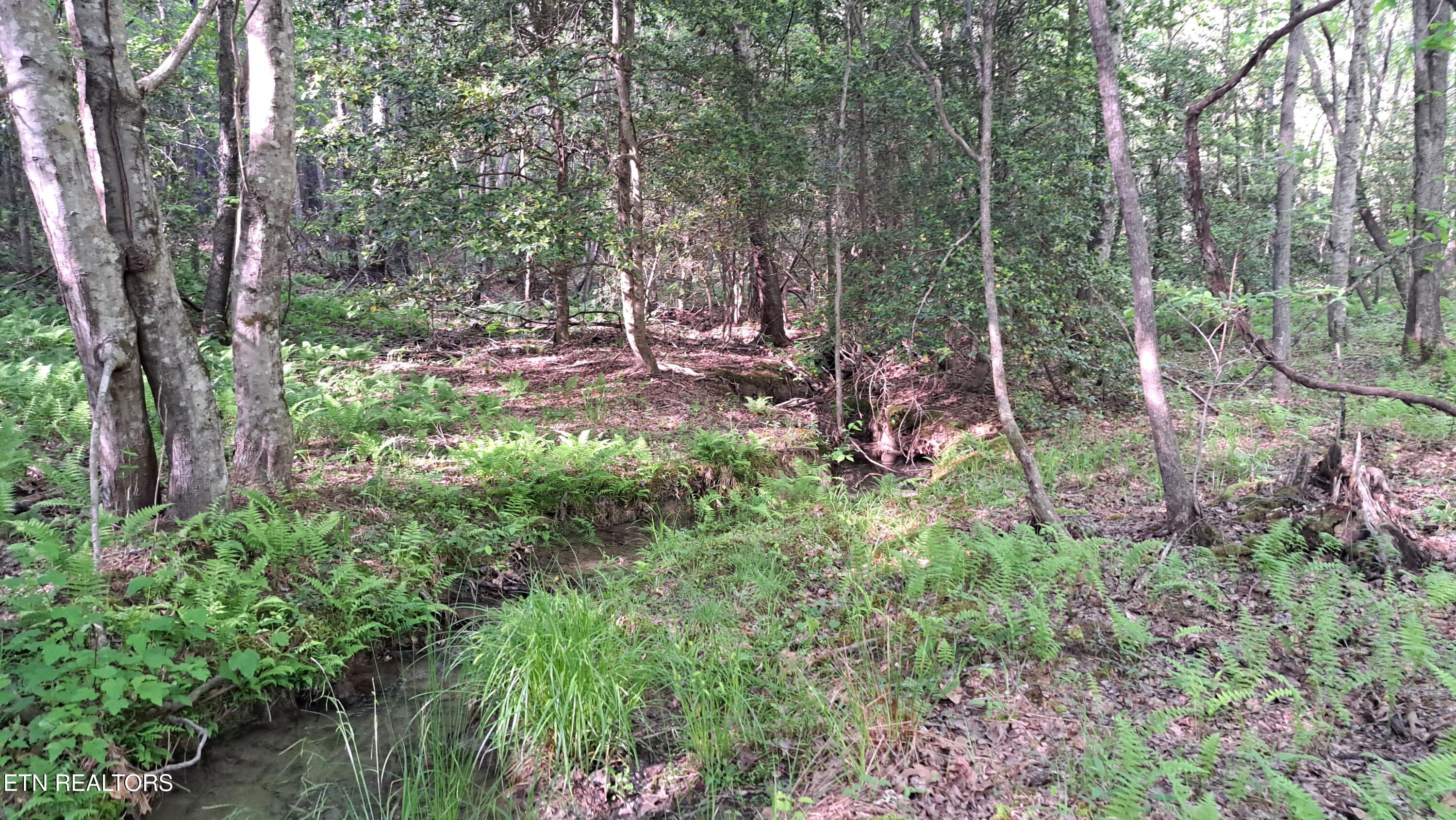 Lot 20 Airport Road (PCA) Rockwood TN 37854