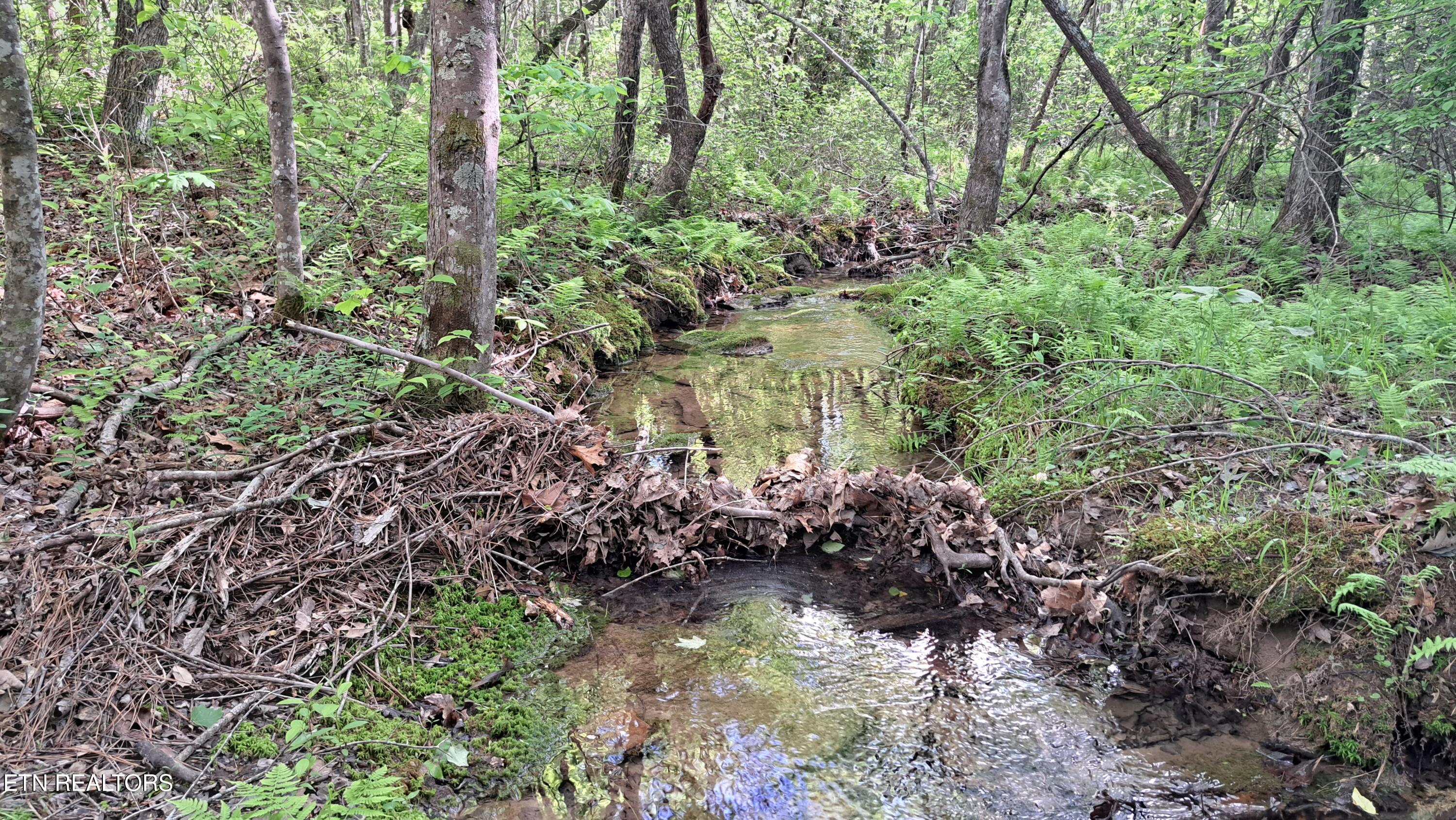 Lot 20 Airport Road (PCA) Rockwood TN 37854