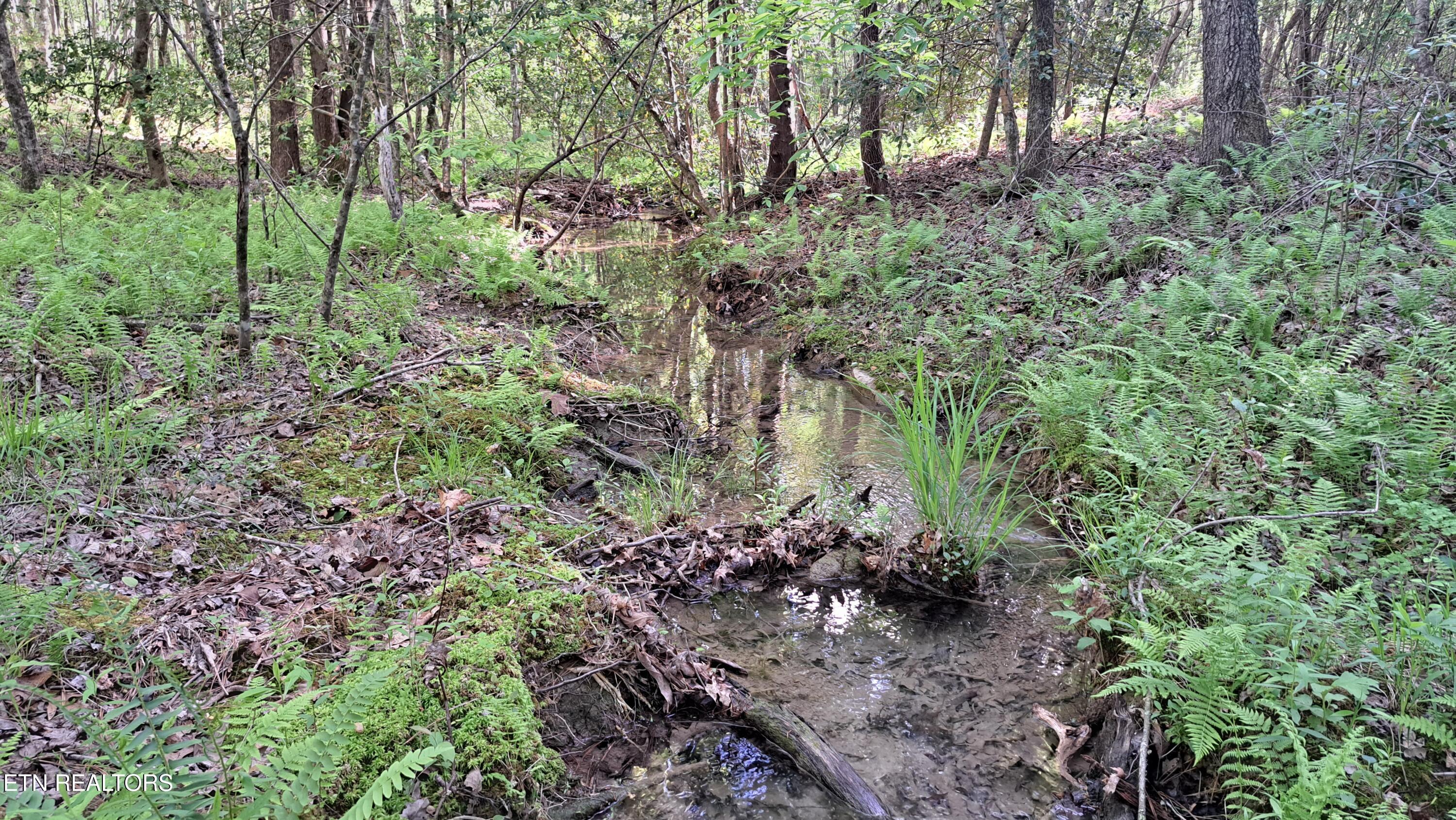 Lot 20 Airport Road (PCA) Rockwood TN 37854