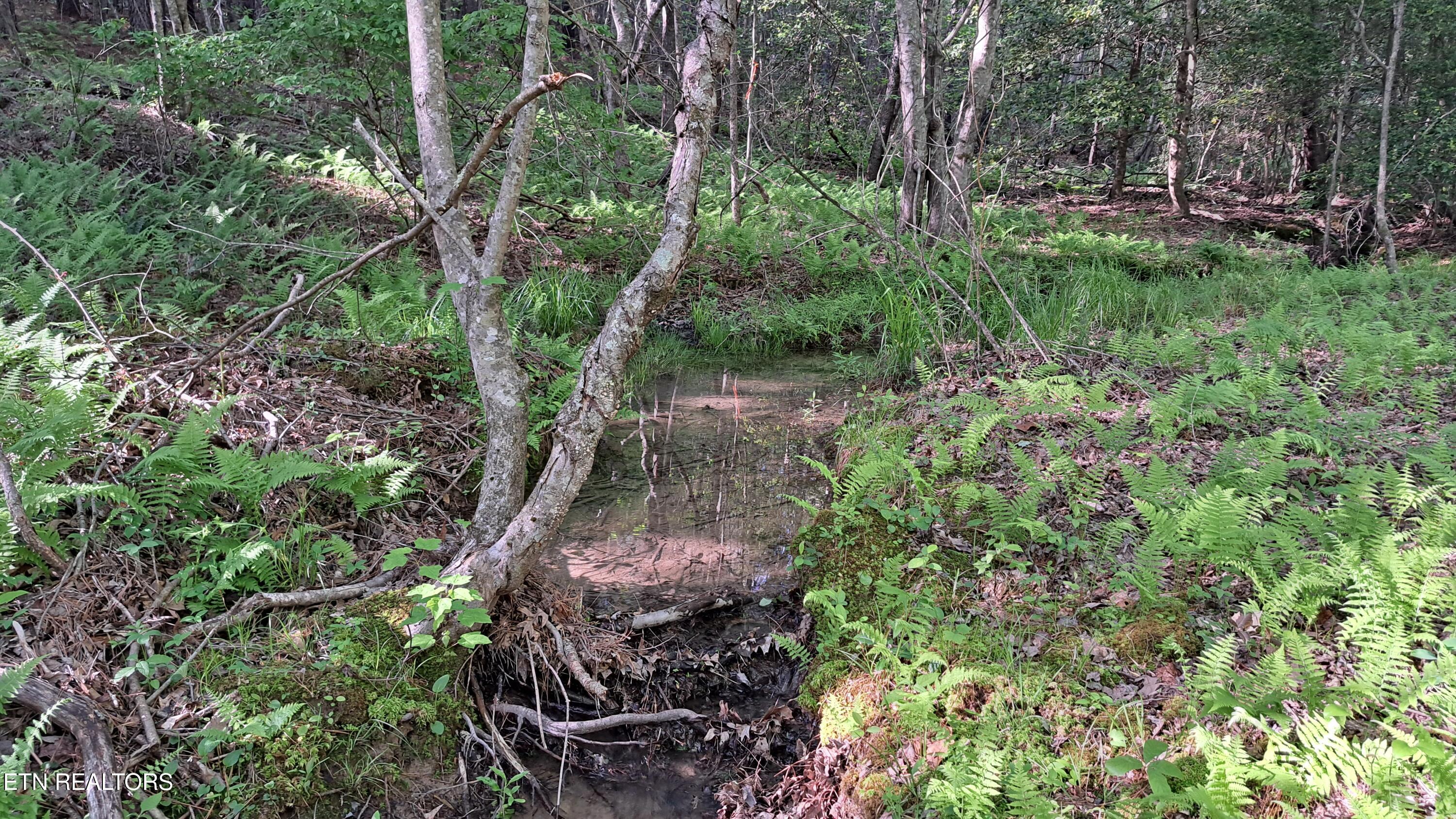 Lot 20 Airport Road (PCA) Rockwood TN 37854