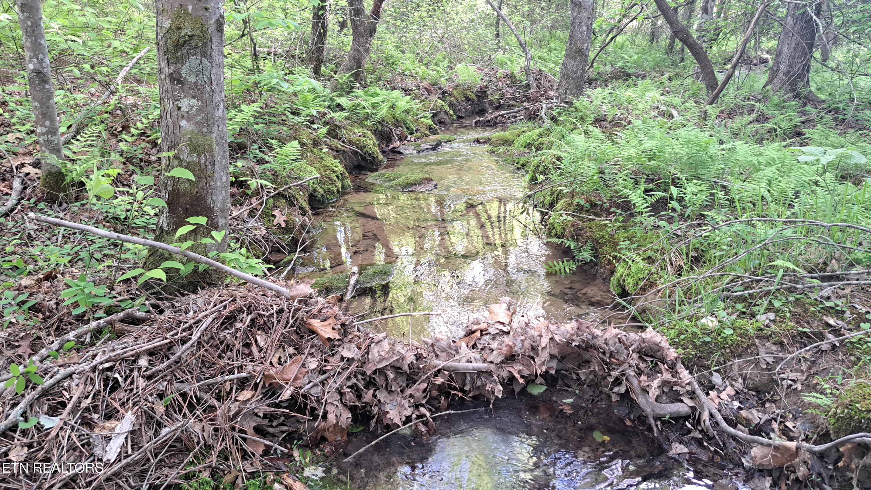 Lot 20 Airport Road (PCA) Rockwood TN 37854