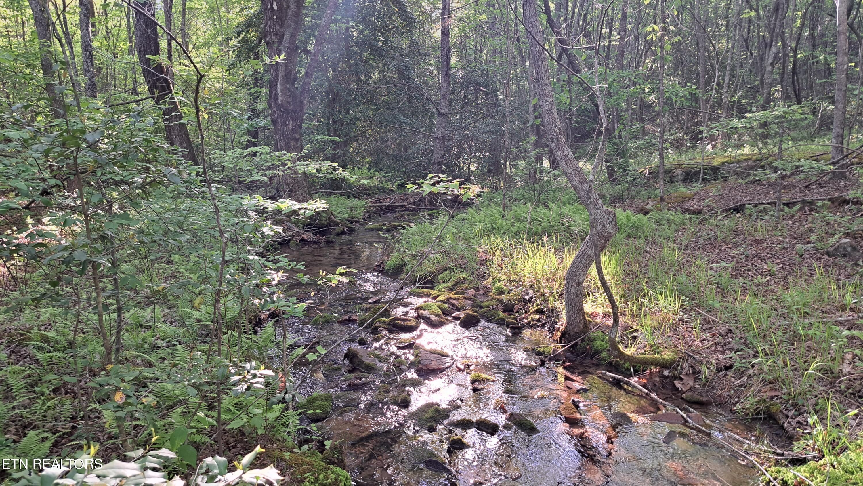 Lot 20 Airport Road (PCA) Rockwood TN 37854