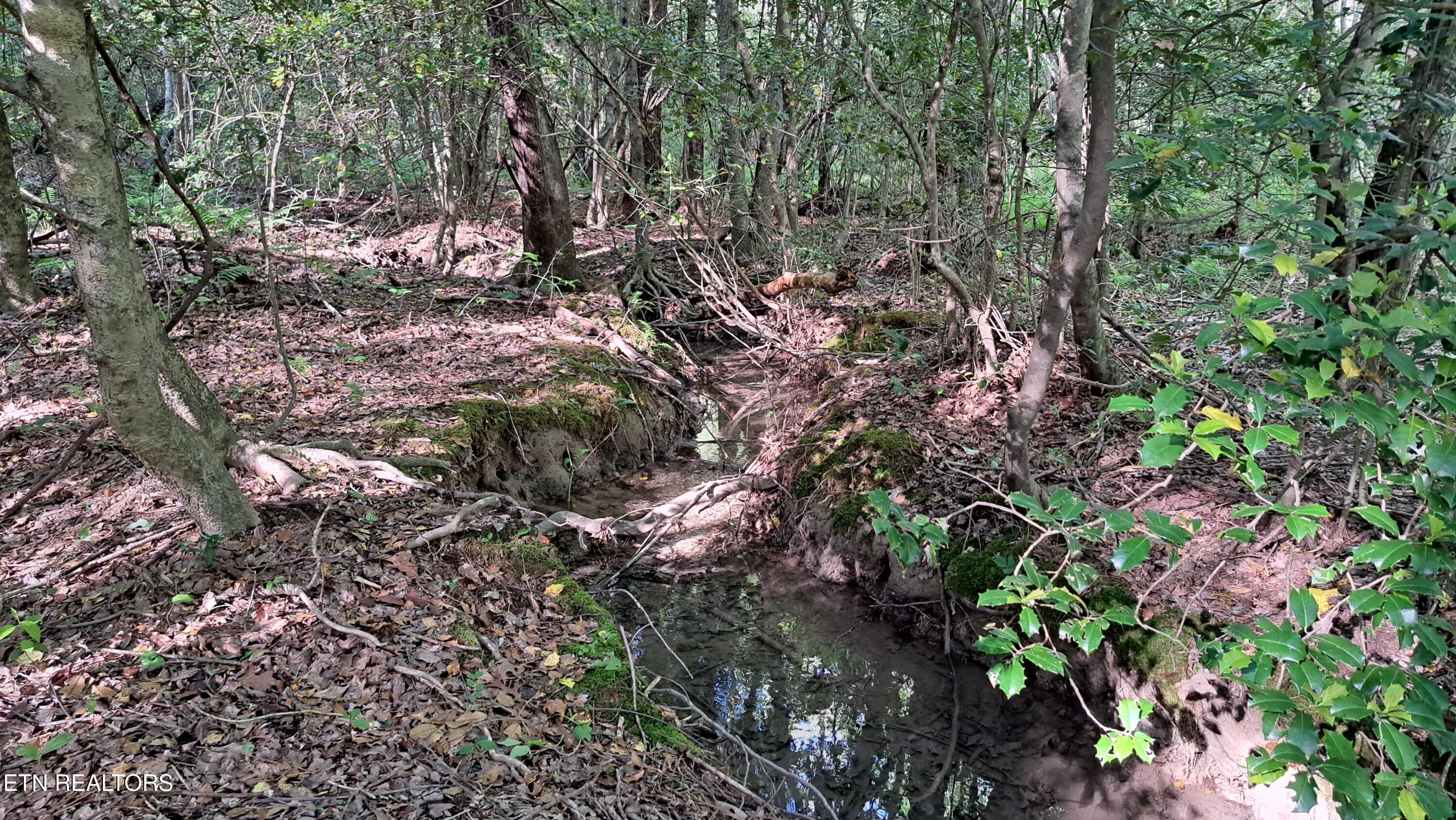 Lot 20 Airport Road (PCA) Rockwood TN 37854