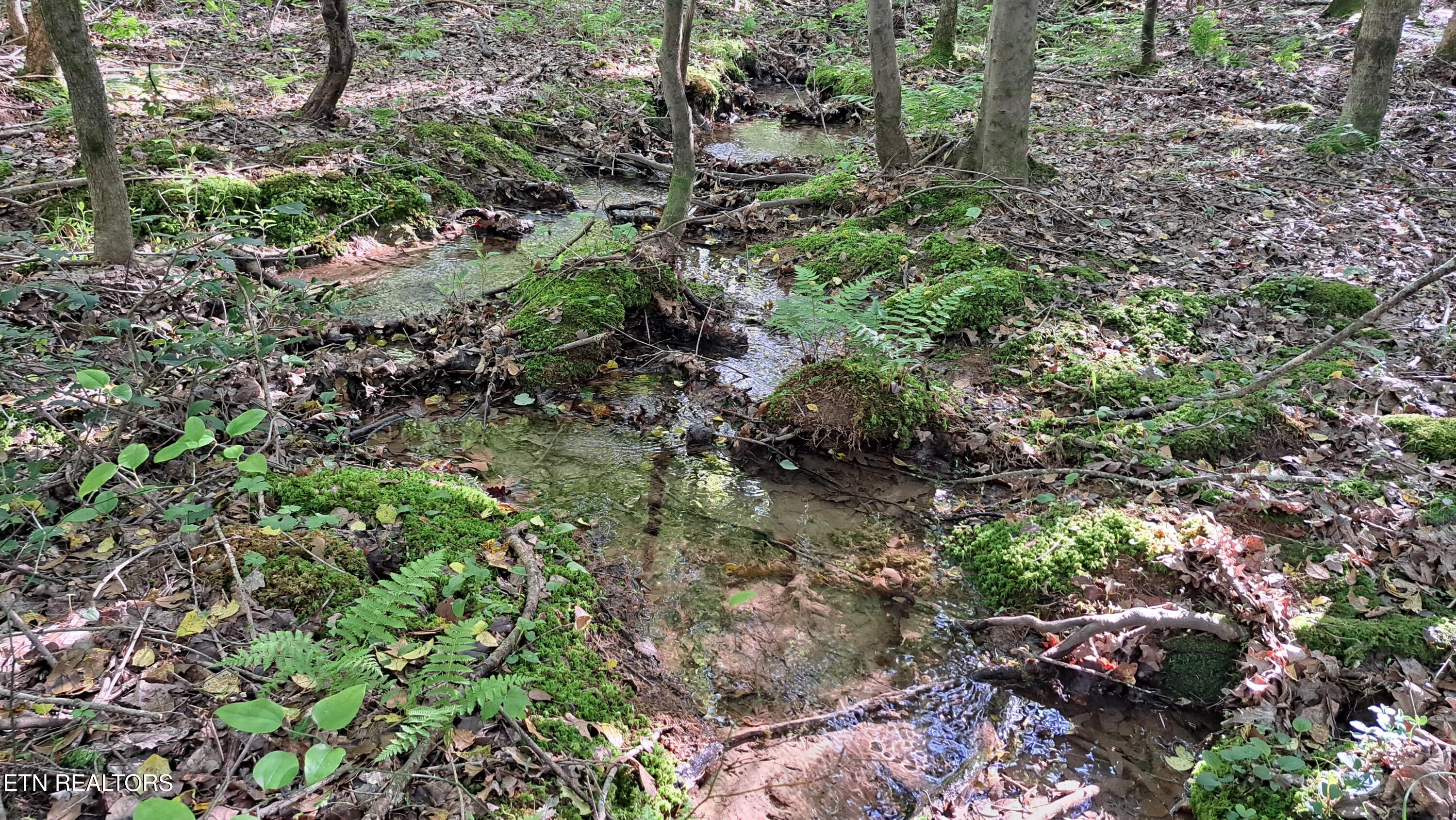 Lot 20 Airport Road (PCA) Rockwood TN 37854