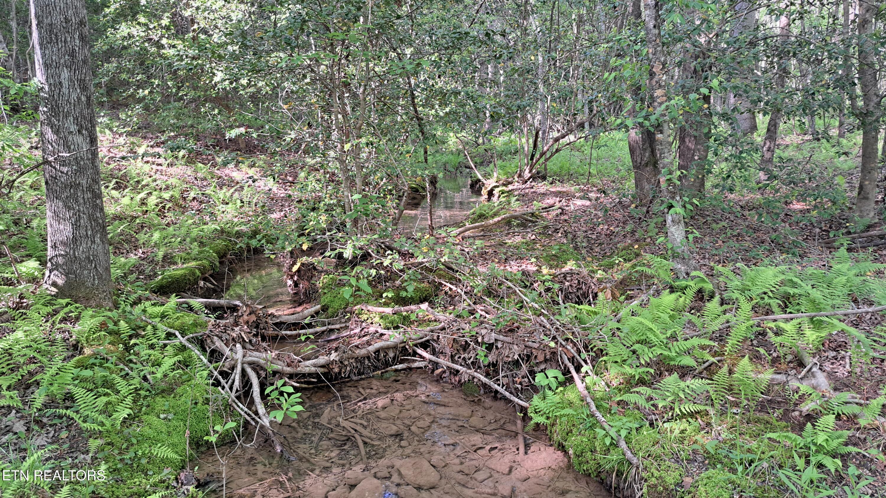Lot 20 Airport Road (PCA) Rockwood TN 37854