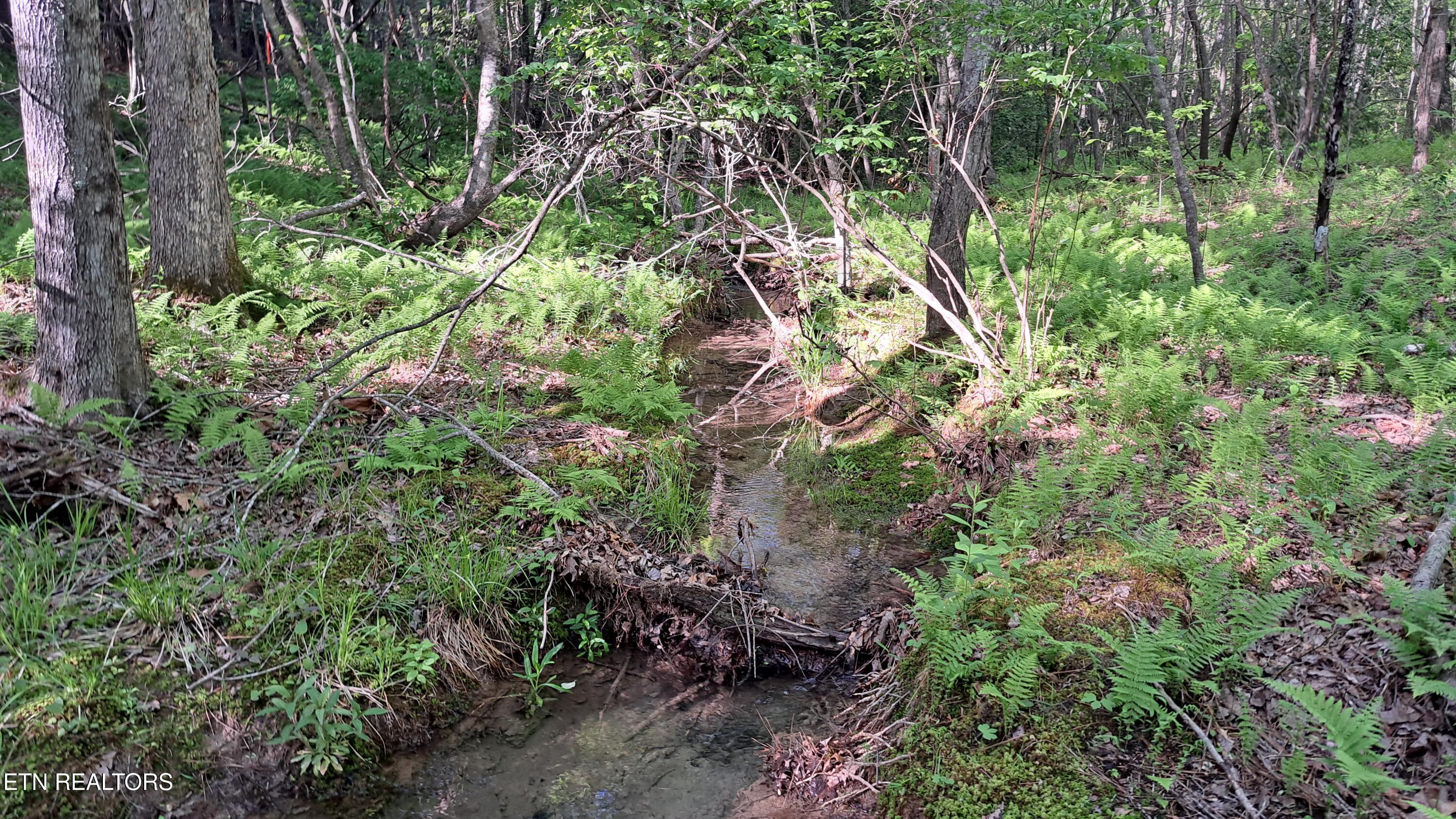 Lot 20 Airport Road (PCA) Rockwood TN 37854