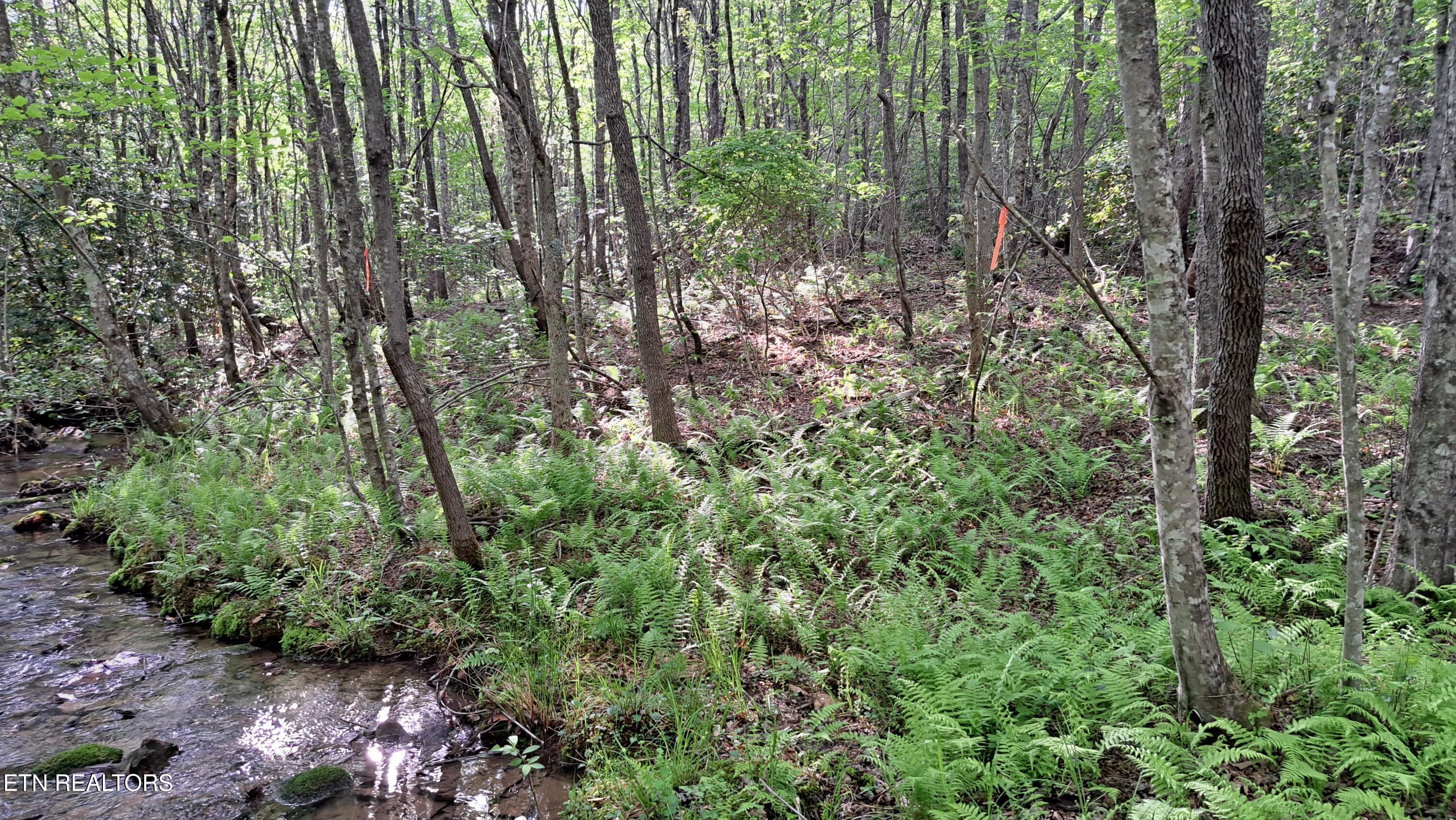 Lot 20 Airport Road (PCA) Rockwood TN 37854