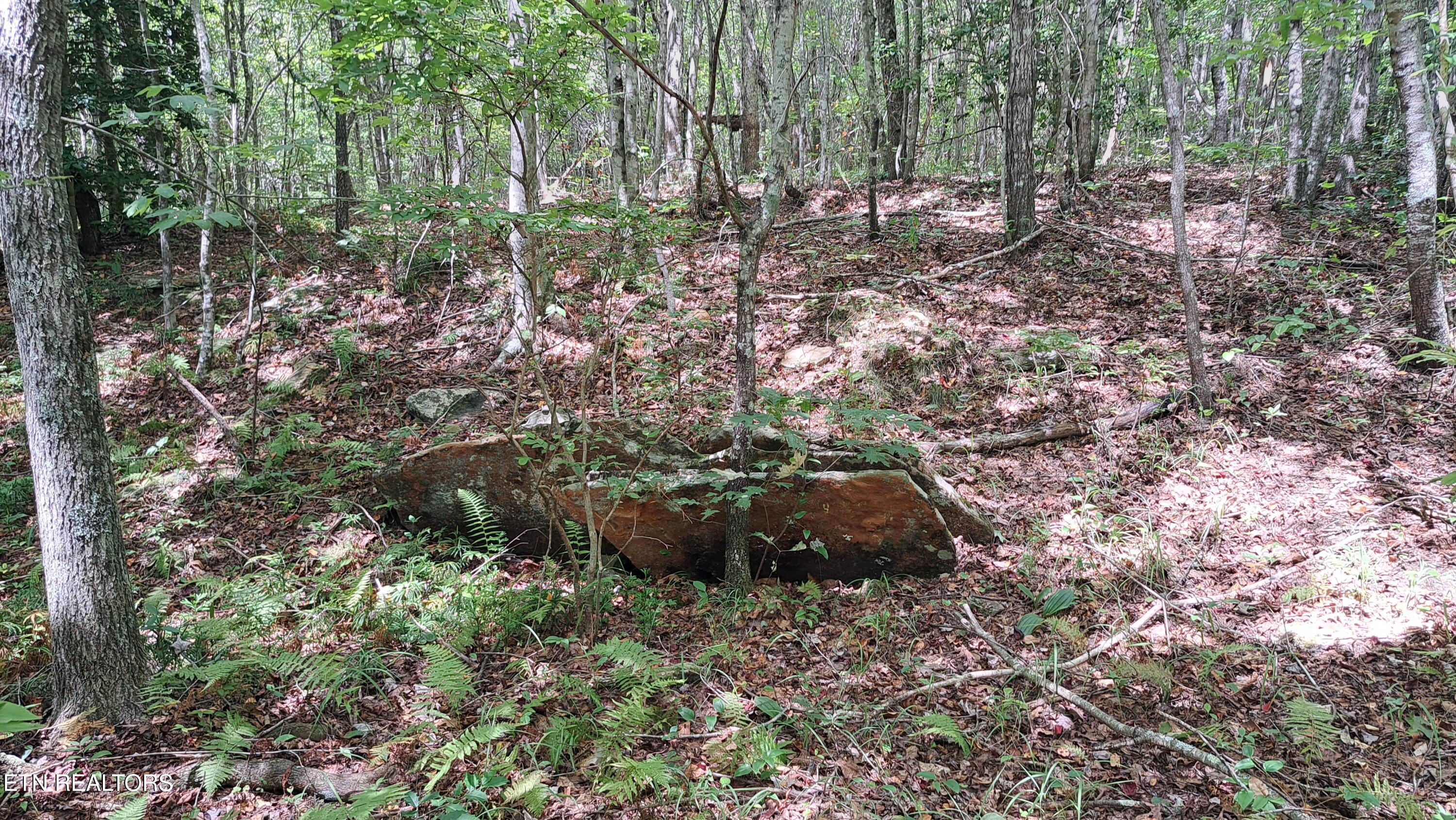 Lot 20 Airport Road (PCA) Rockwood TN 37854