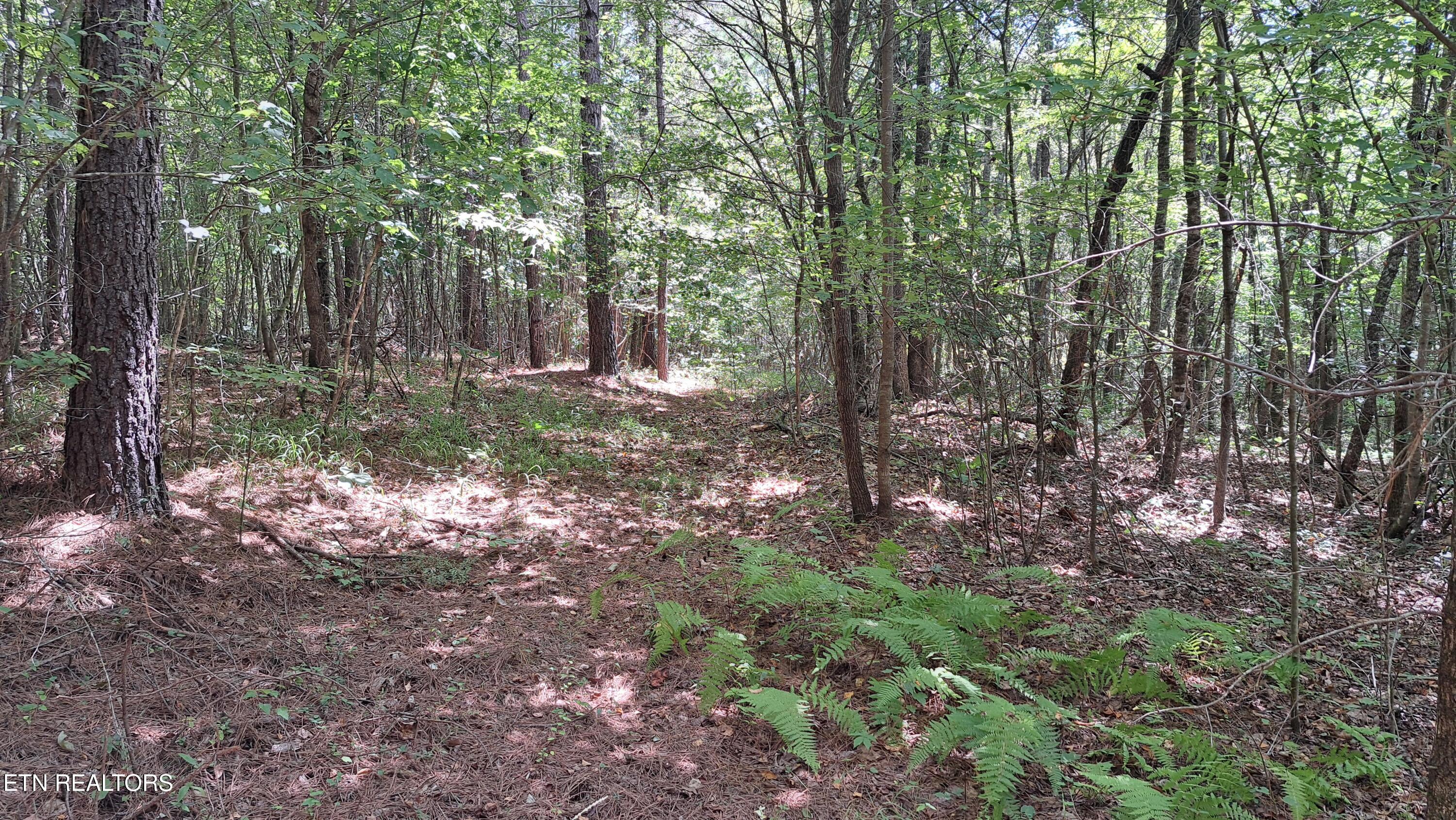 Lot 20 Airport Road (PCA) Rockwood TN 37854