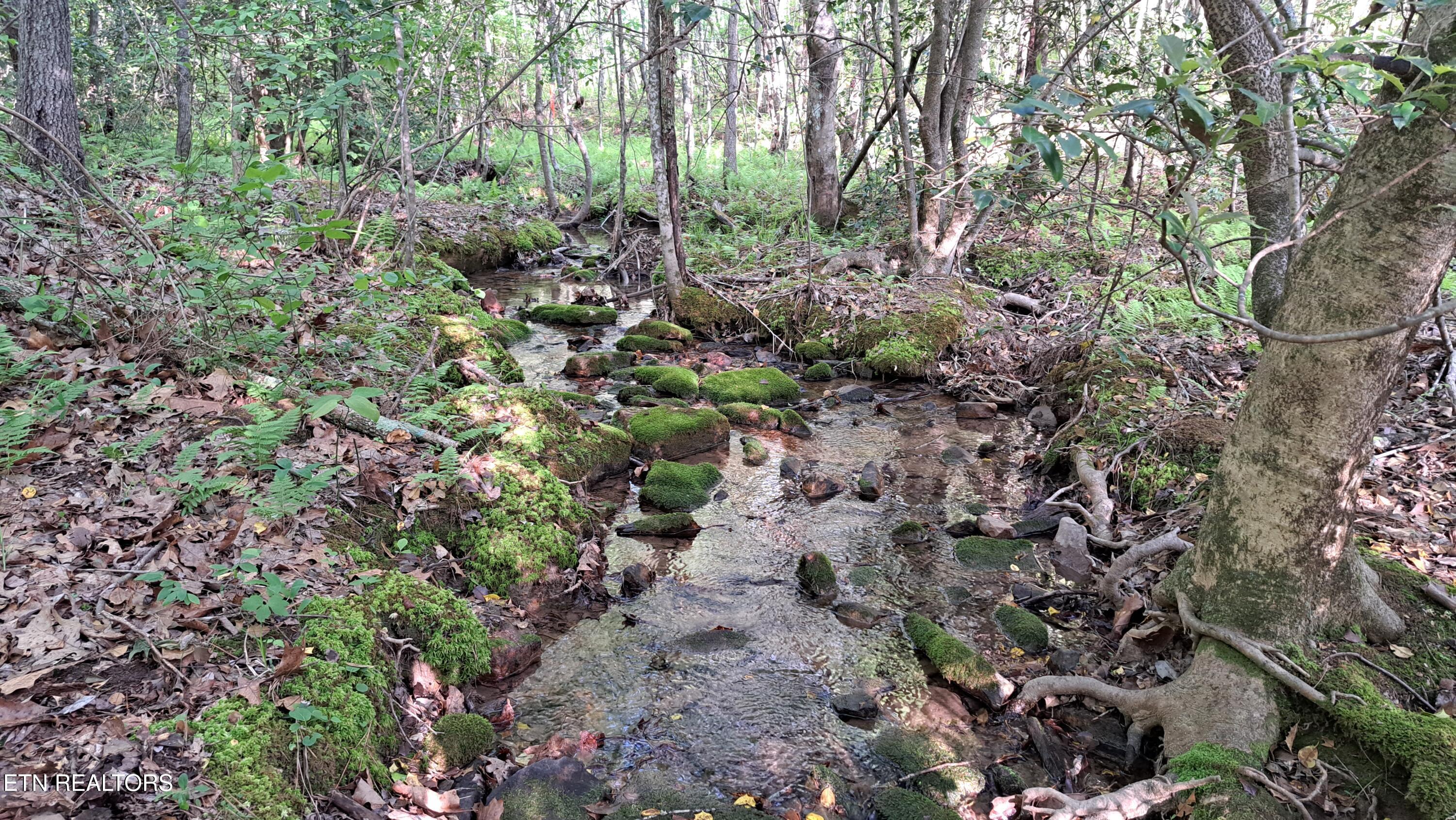 Lot 20 Airport Road (PCA) Rockwood TN 37854