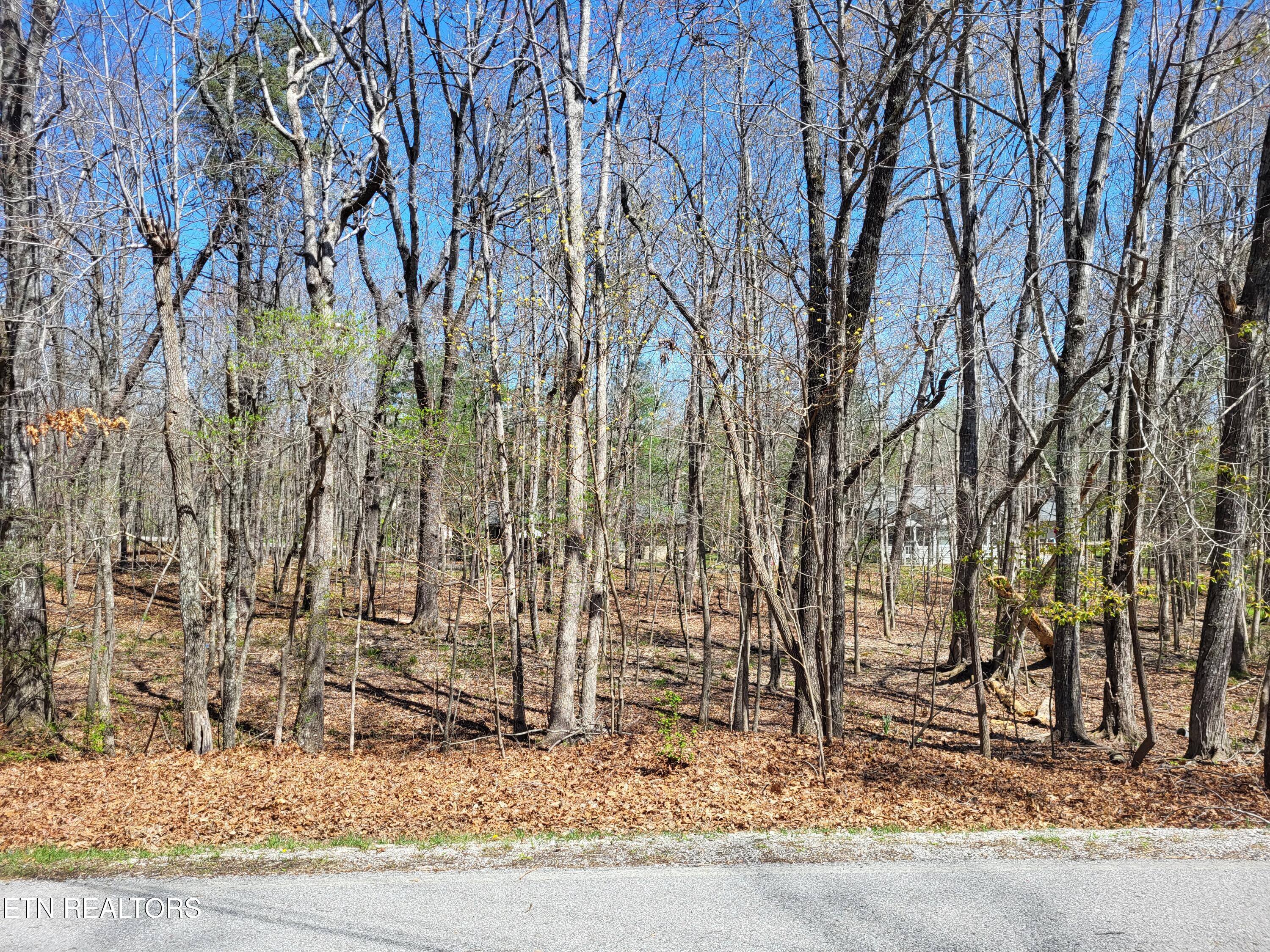 149 Highgate Drive Crossville TN 38558