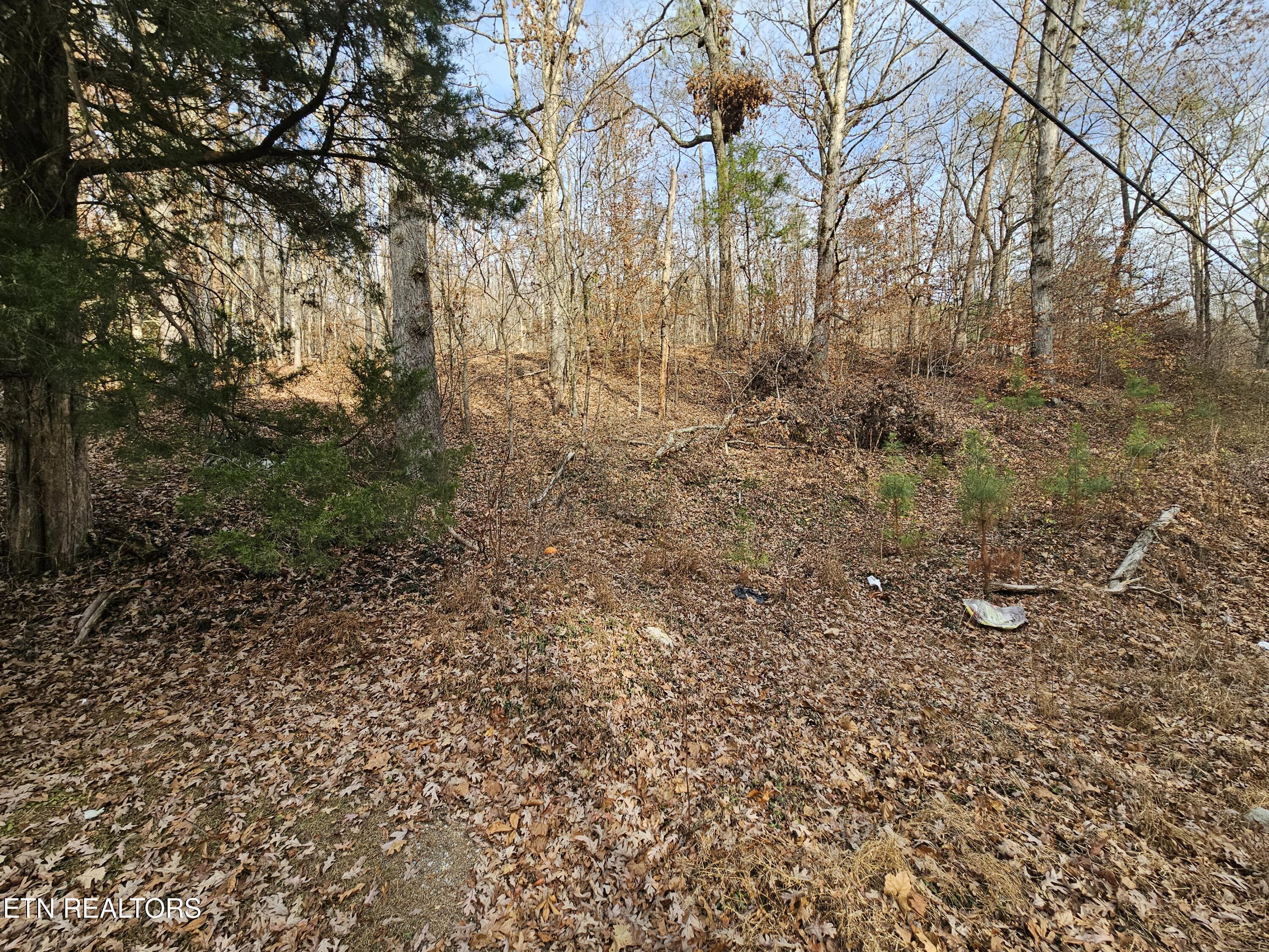 Lot 7 Smyrna Road Evensville TN 37332