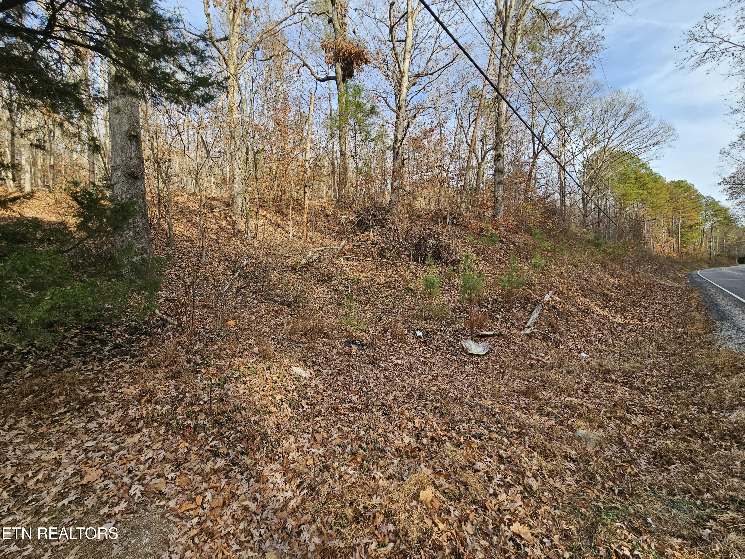 Lot 7 Smyrna Road Evensville TN 37332